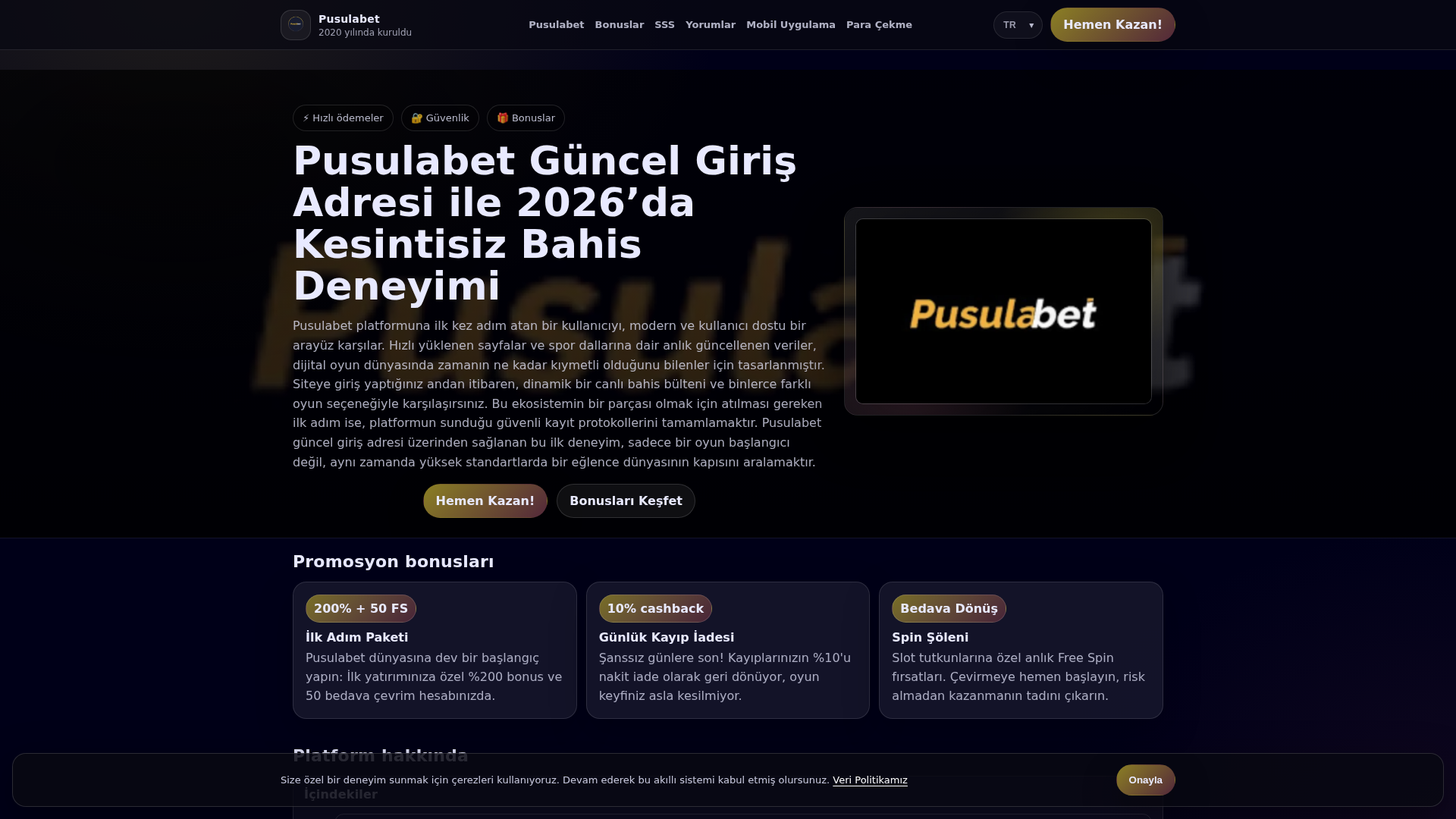 Screenshot of basam.org.tr