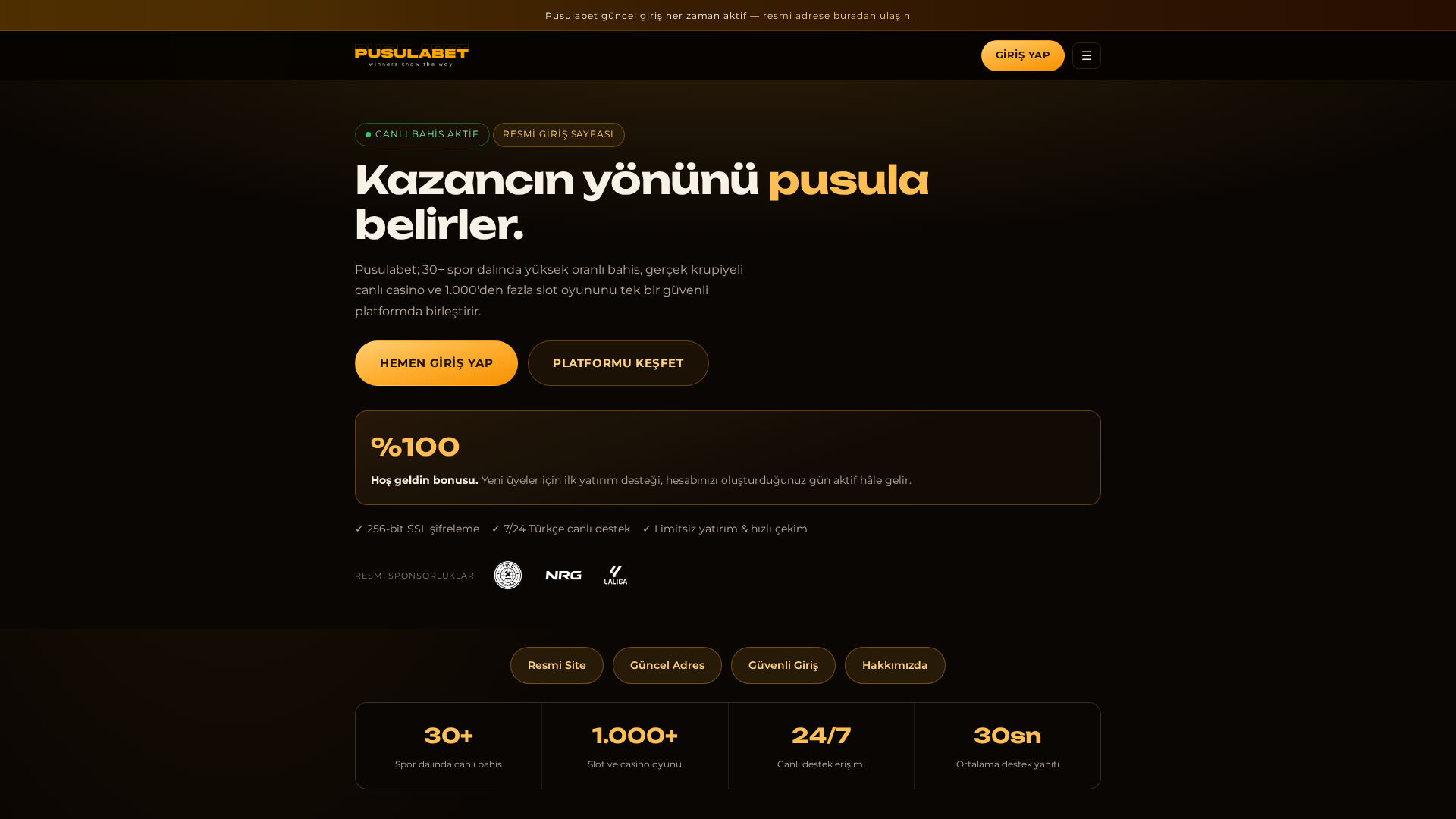 Screenshot of pusulabet-one.net