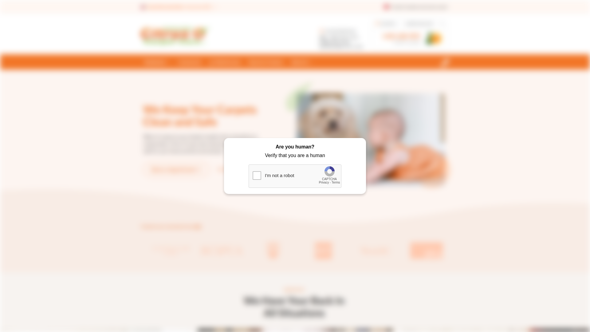 Screenshot of cdn.gosafemode.com