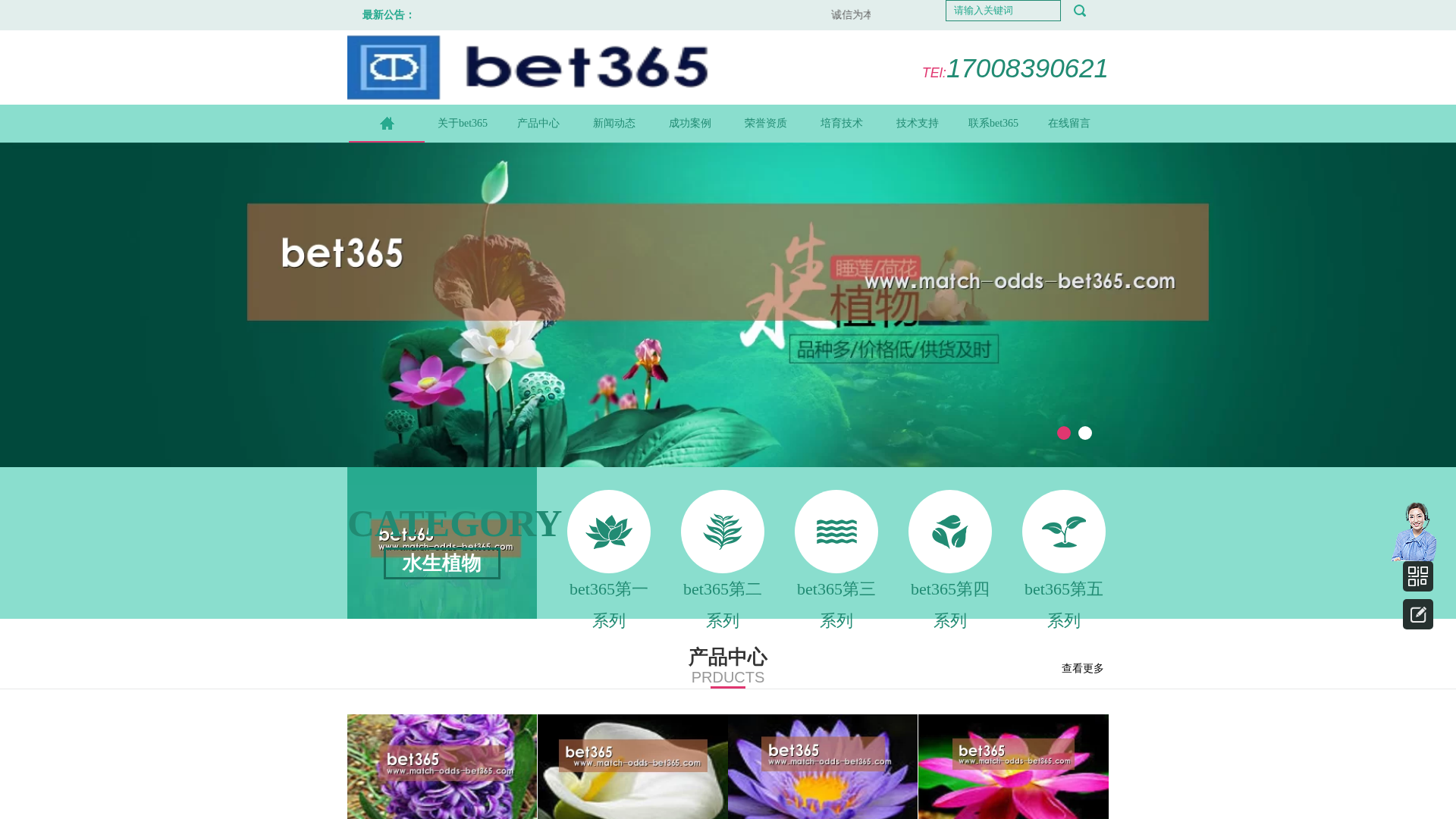Screenshot of match-odds-bet365.com