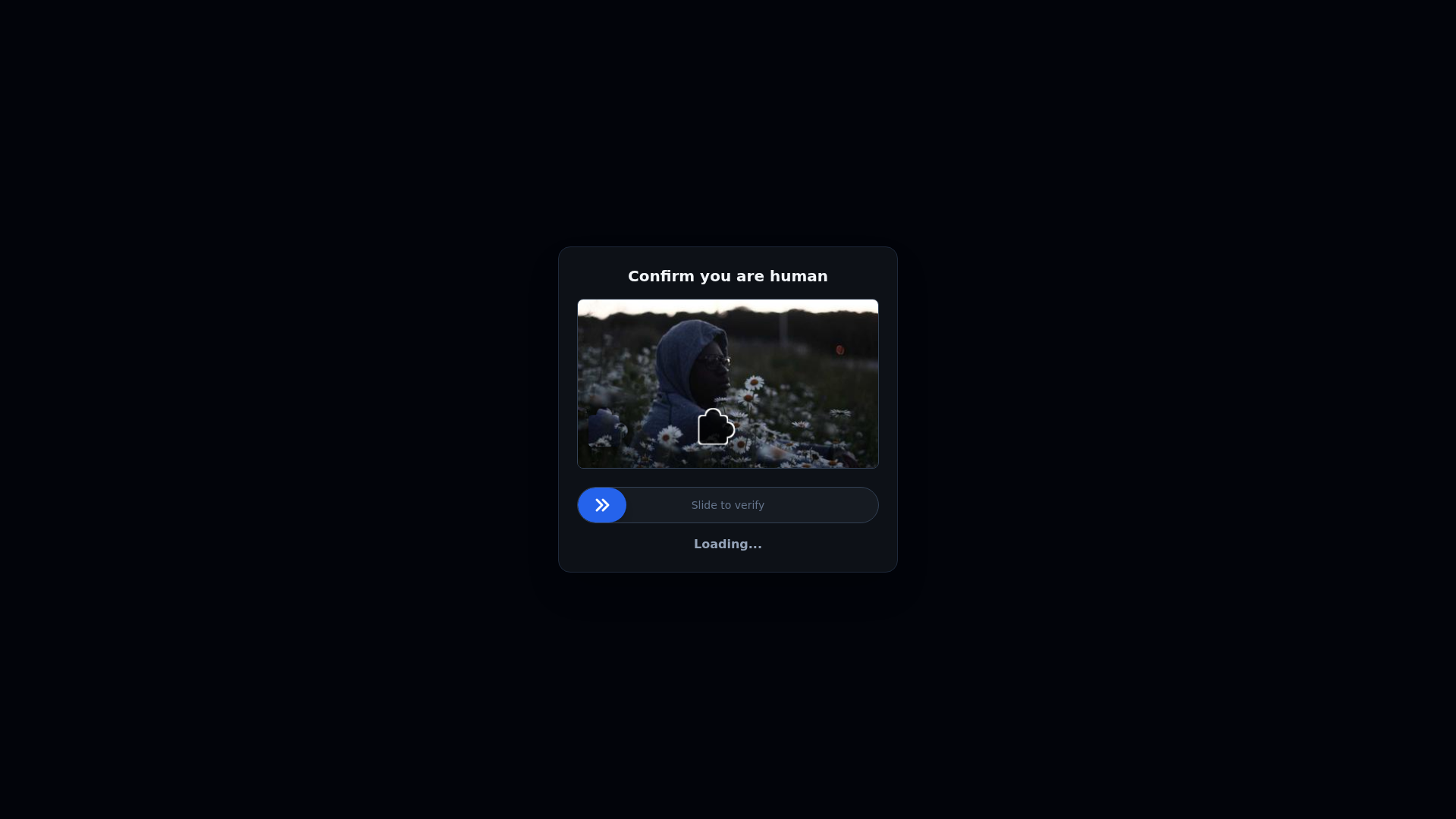 Screenshot of fortine-check.xyz