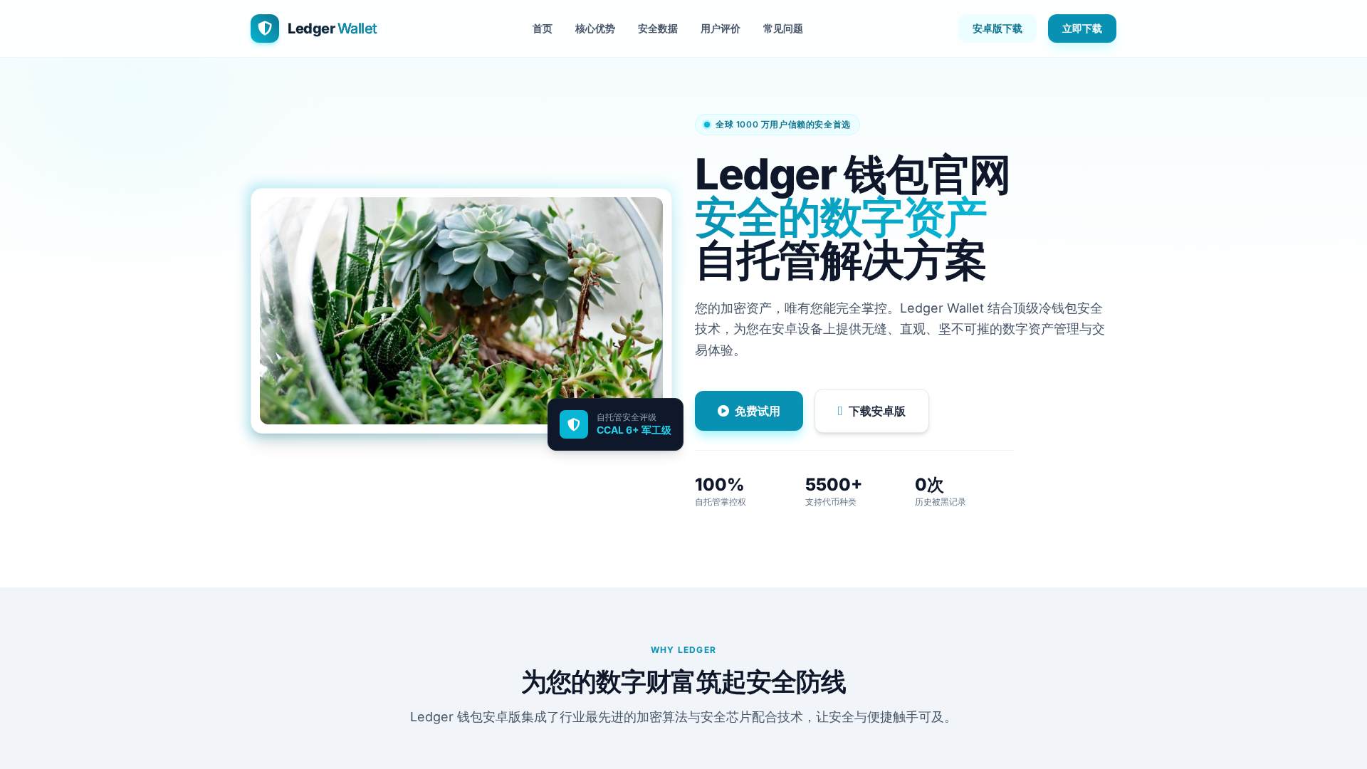 Screenshot of ledgern.net