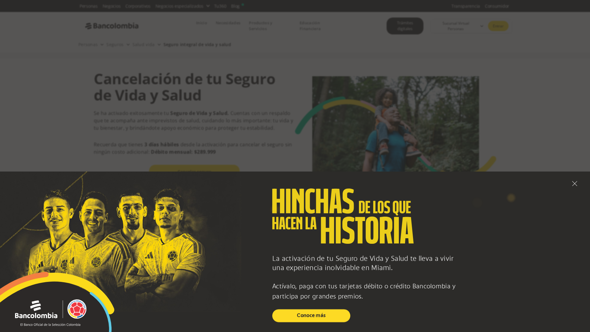 Screenshot of www.surainforseg.com