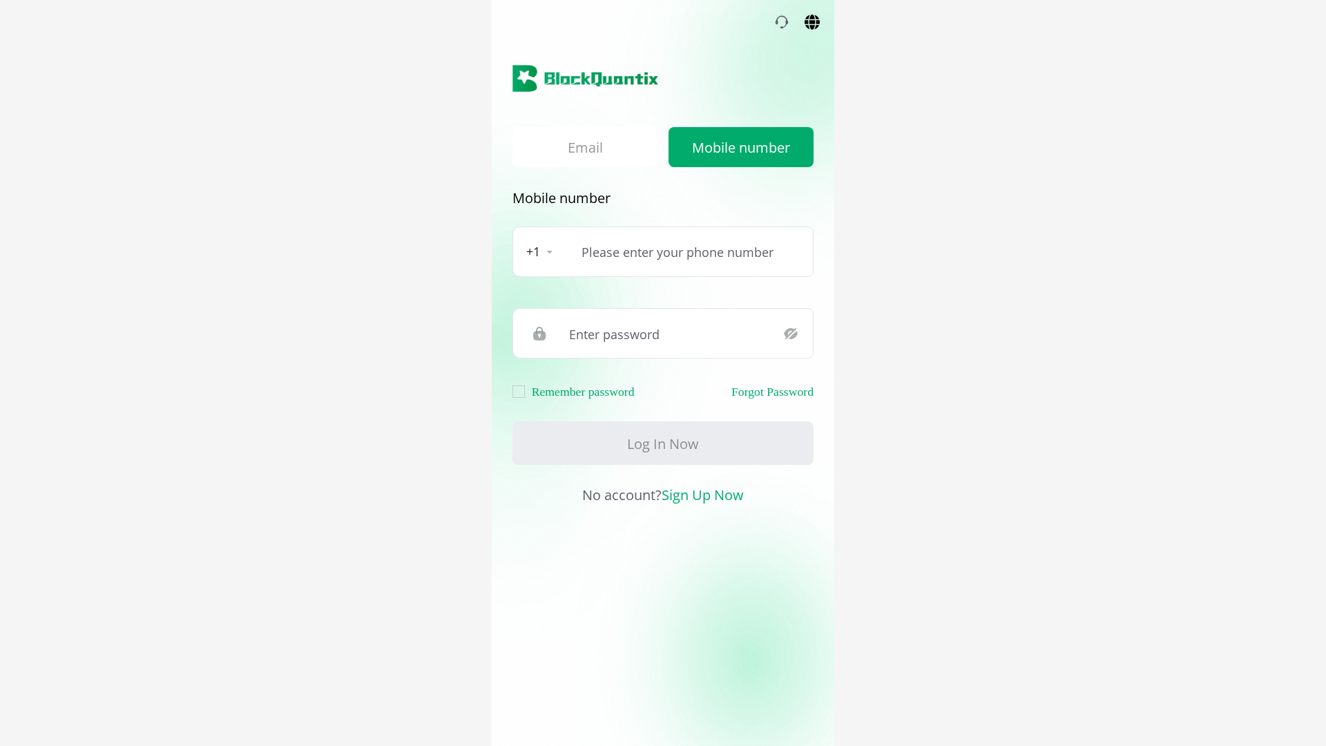 Screenshot of blockquantix.com