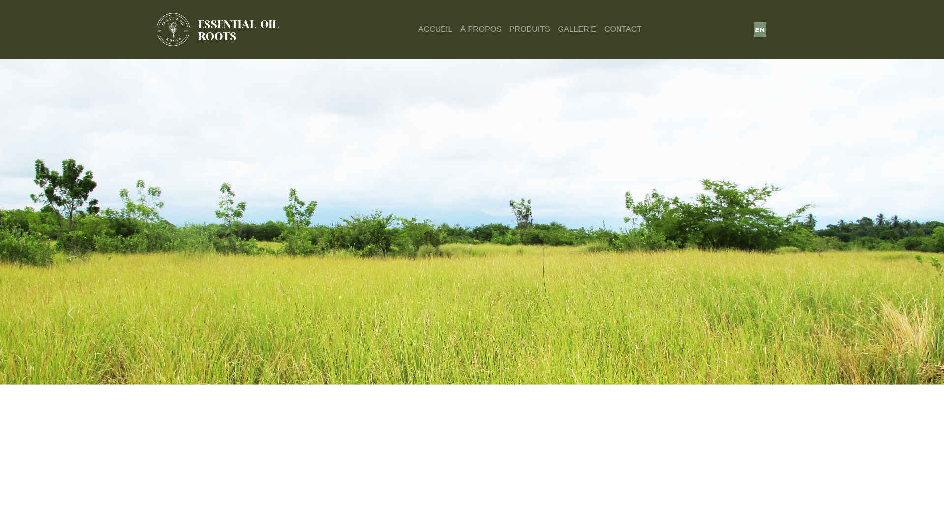 Screenshot of cdn.gosafemode.com