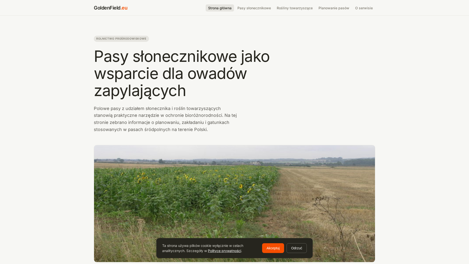 Screenshot of cdn.gosafemode.com