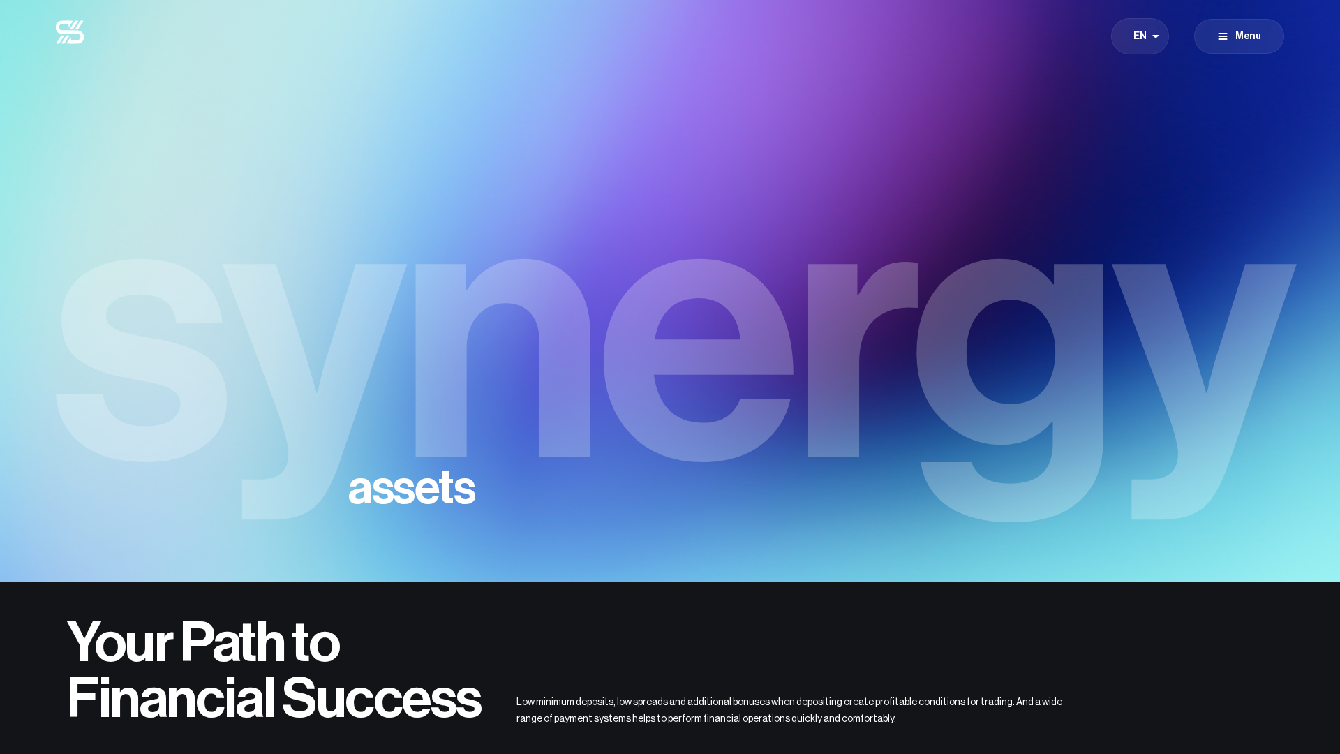Screenshot of assets-synergy.com