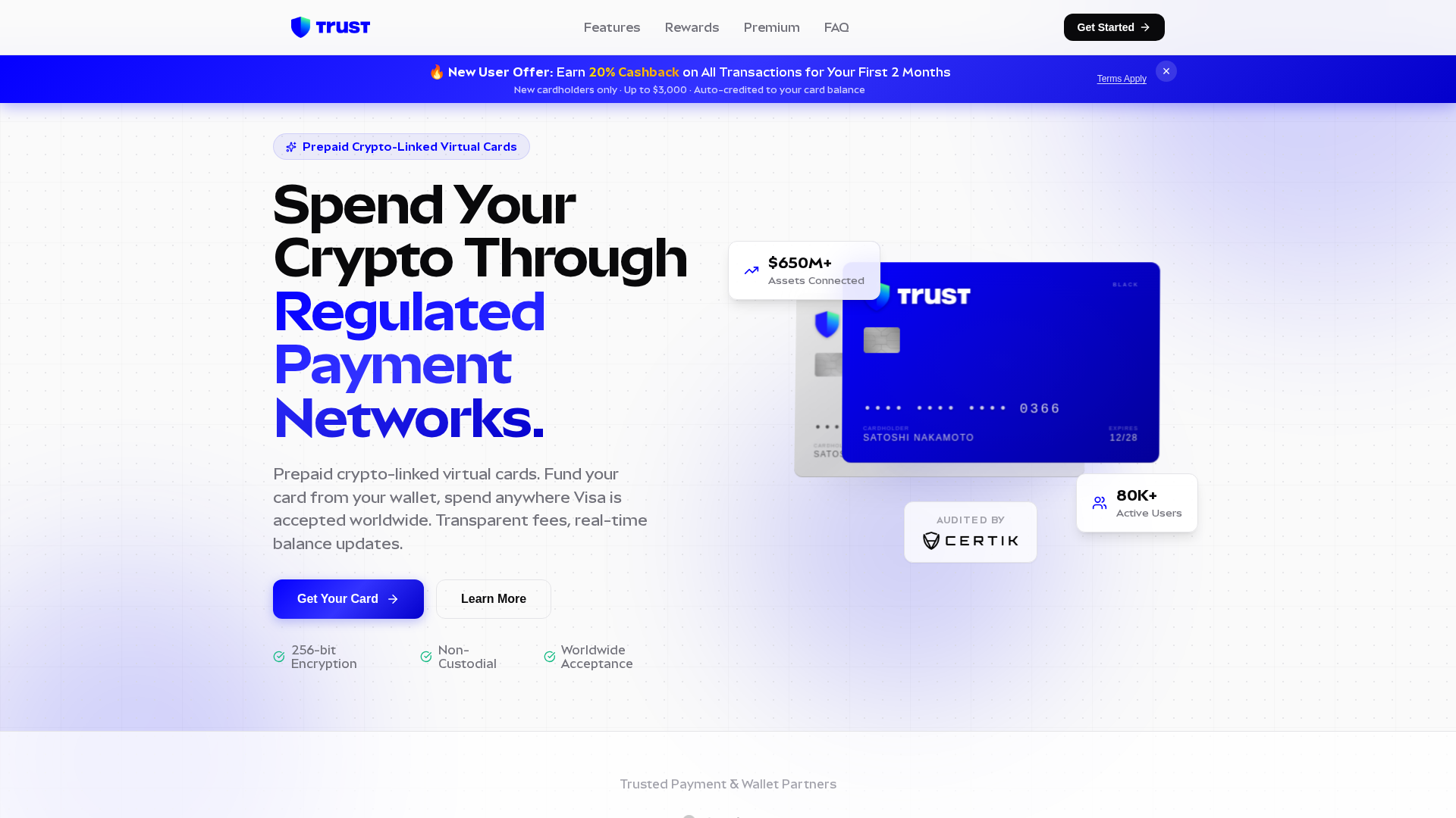 Screenshot of securepypy.com.networksolutieon.com