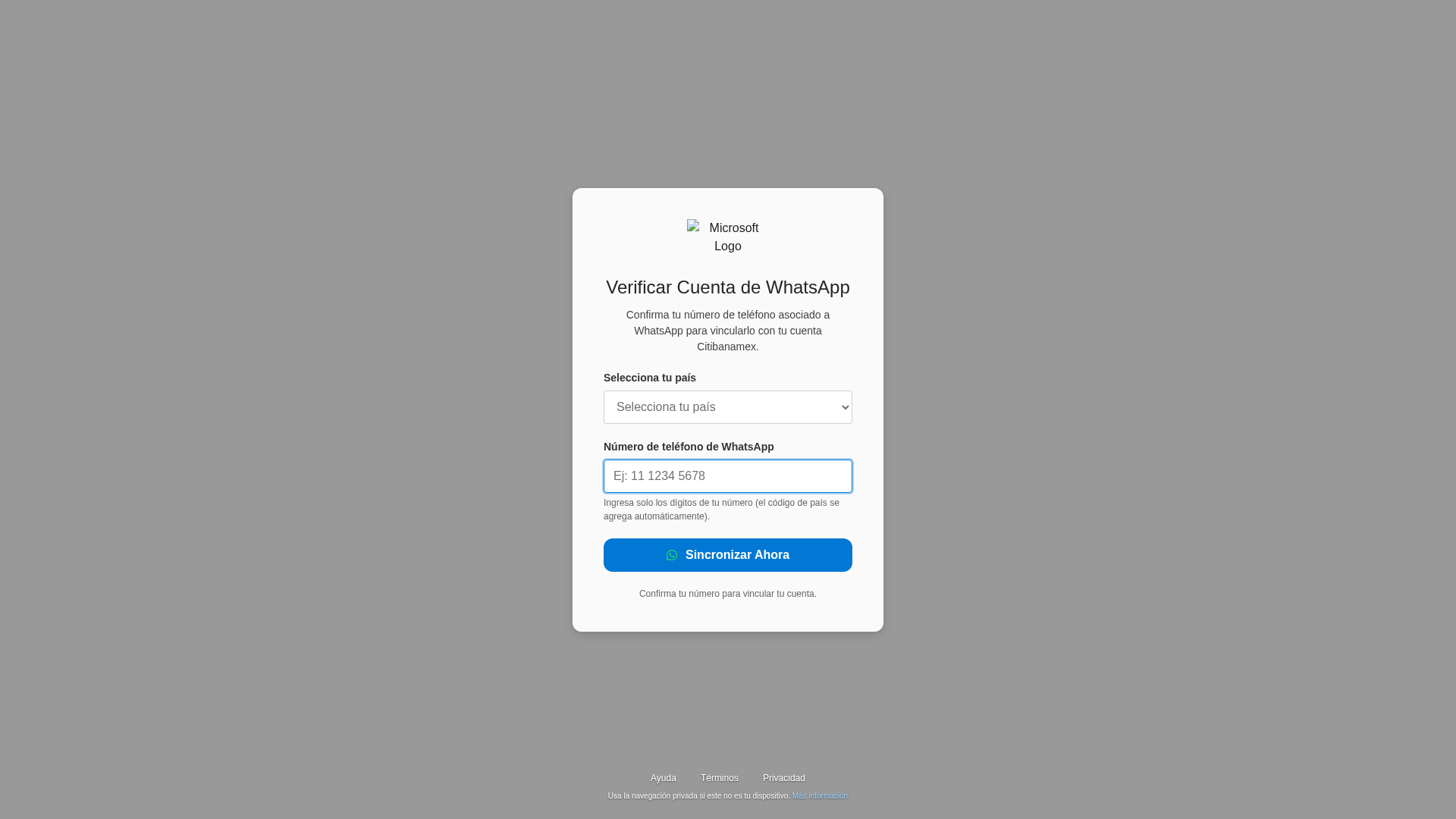 Screenshot of clientes-banamex.webcindario.com