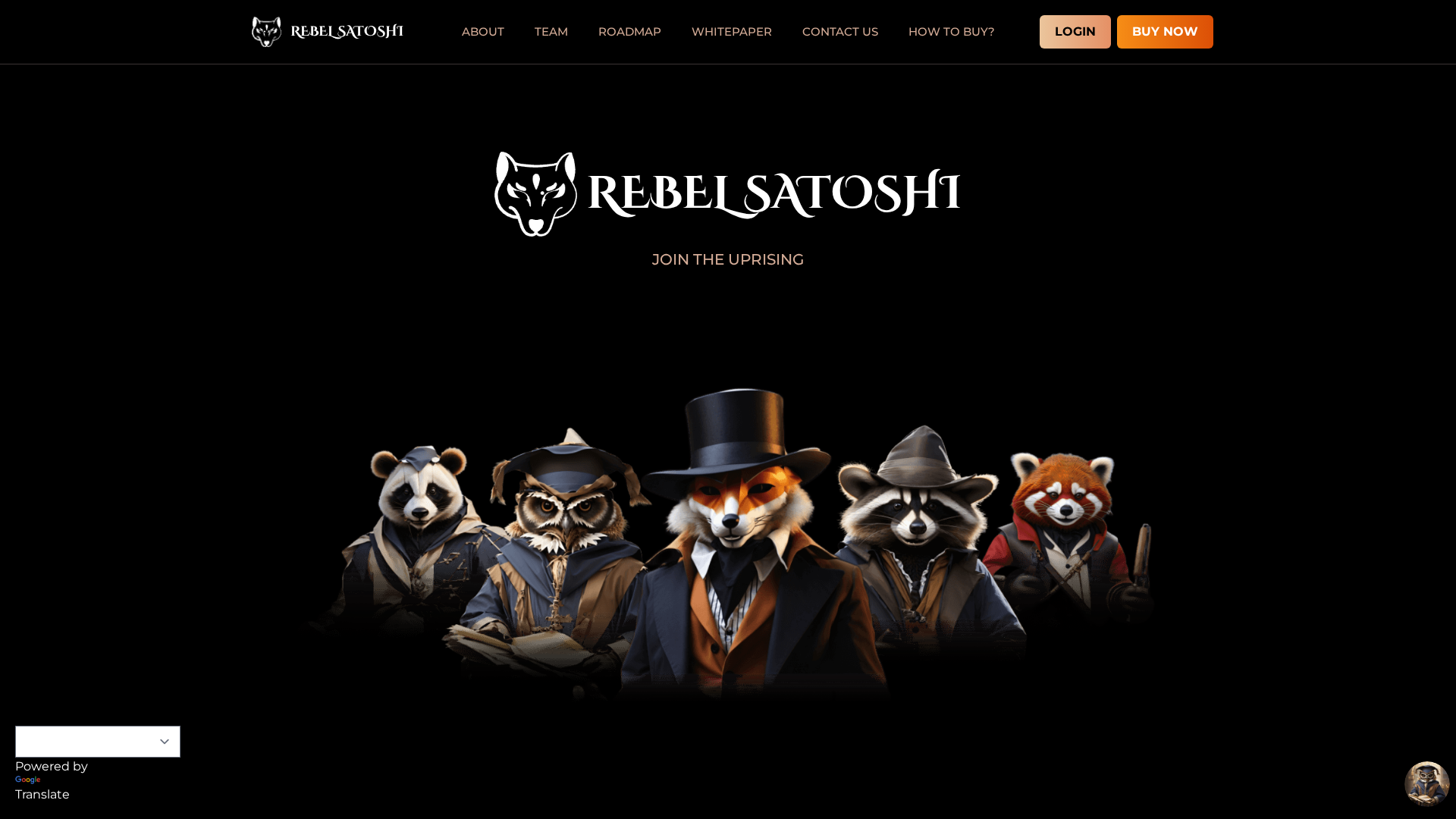 Screenshot of rebelsatoshi-in.pages.dev