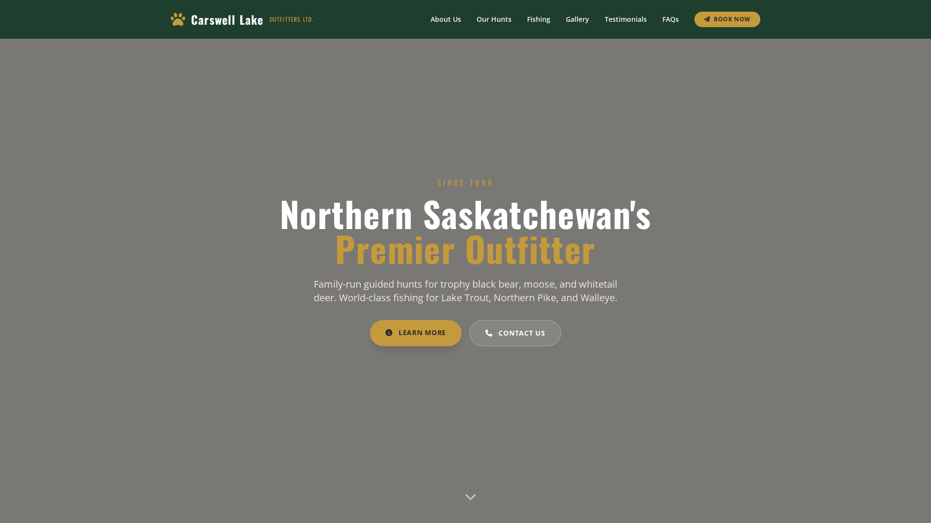Screenshot of cdn.gosafemode.com