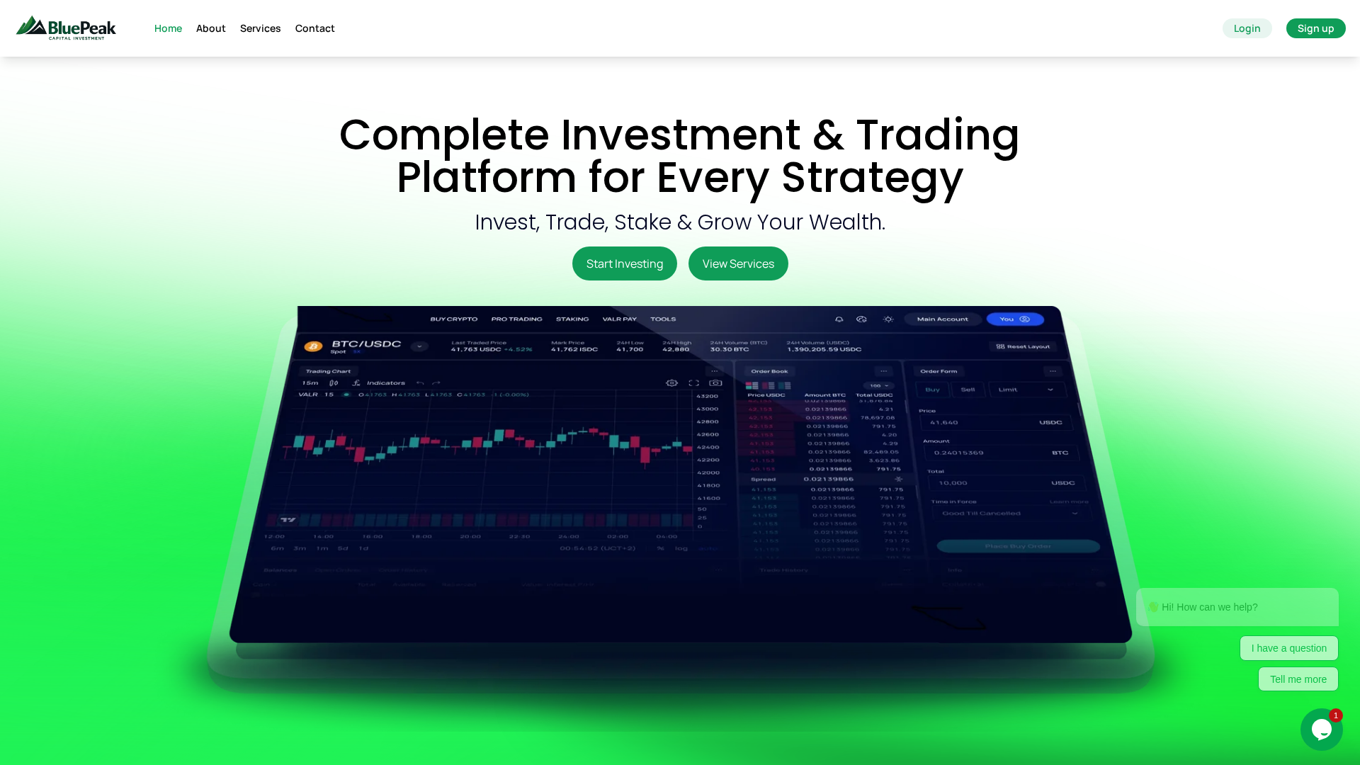 Screenshot of bluepeakcpital.com