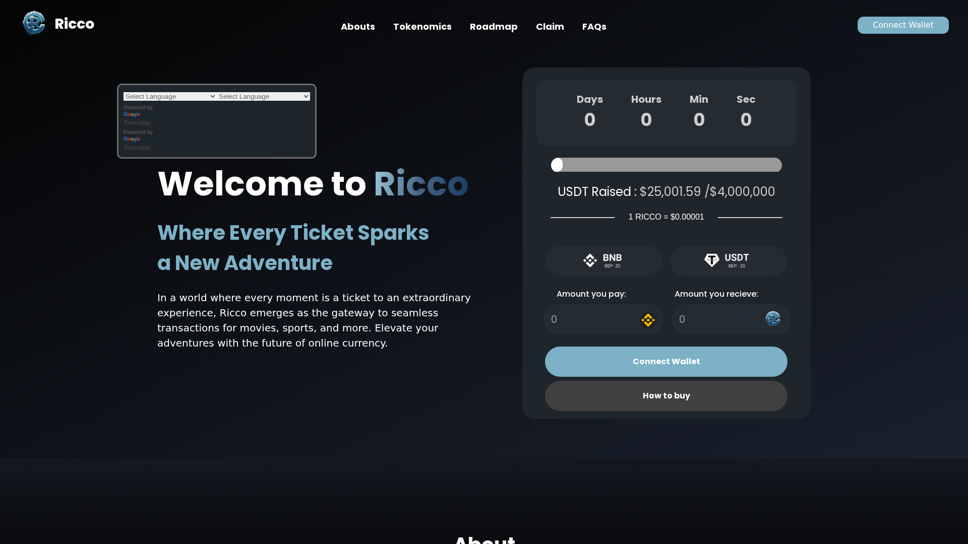 Screenshot of bscpresale.riccocoin.com