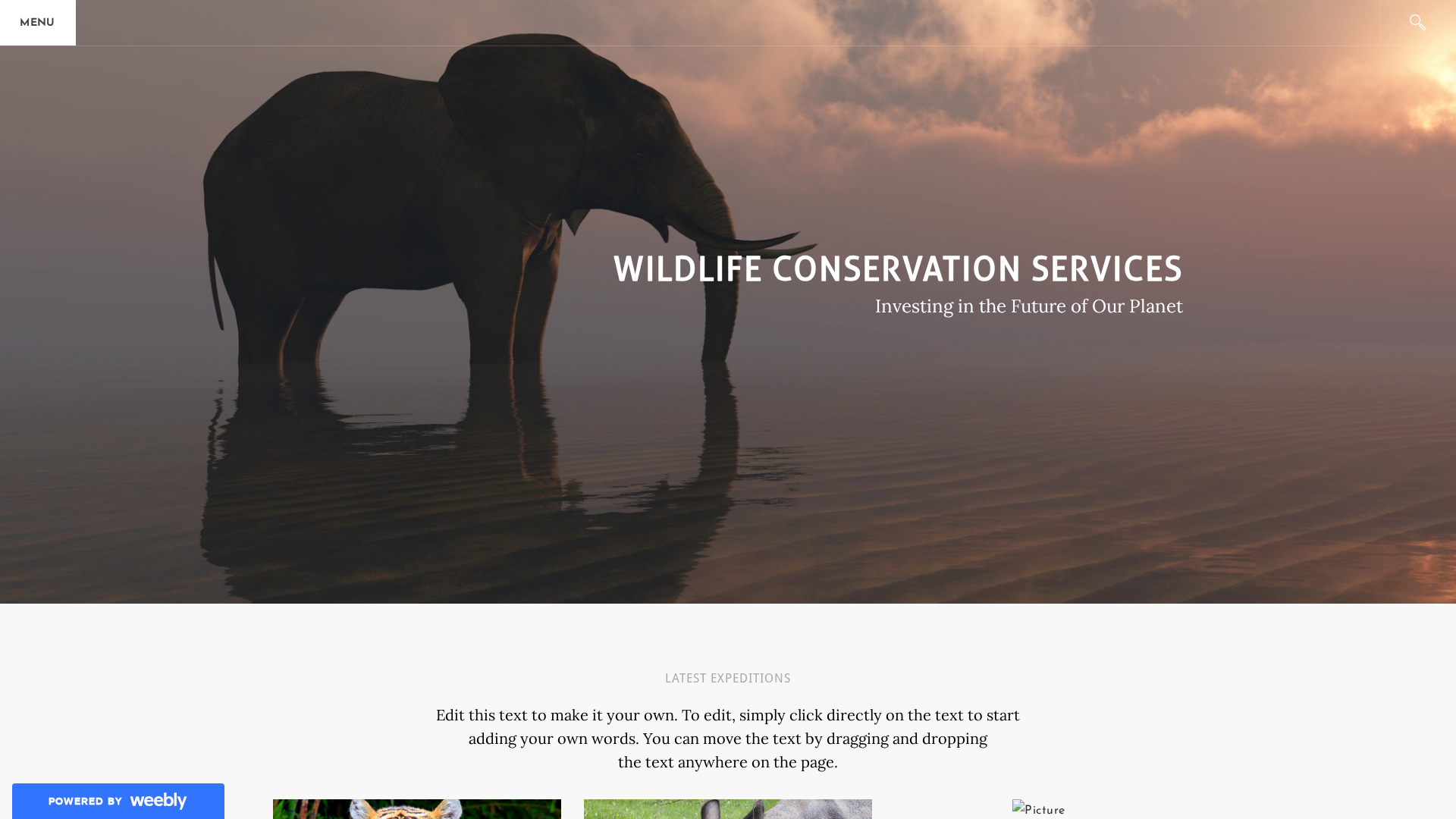 Screenshot of cdn.gosafemode.com