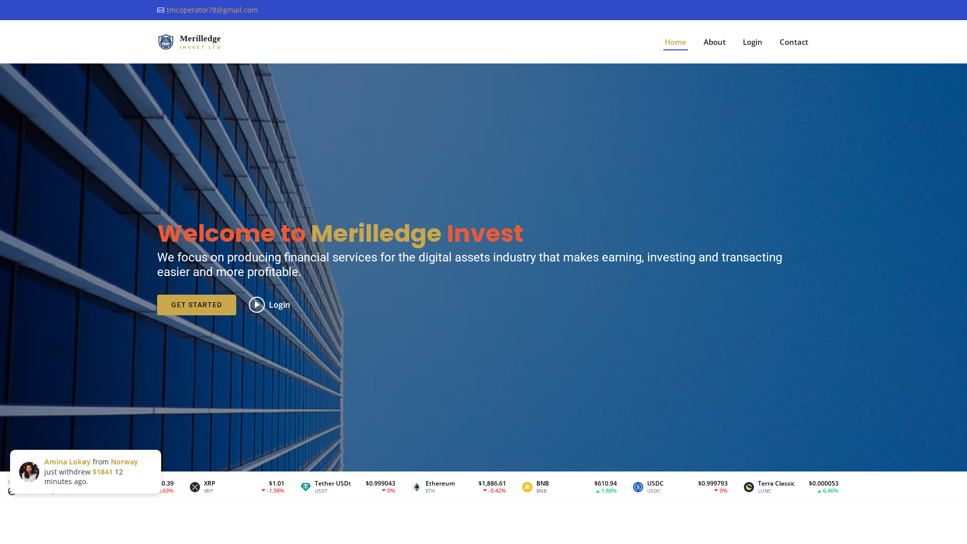 Screenshot of merilledgeltd.com