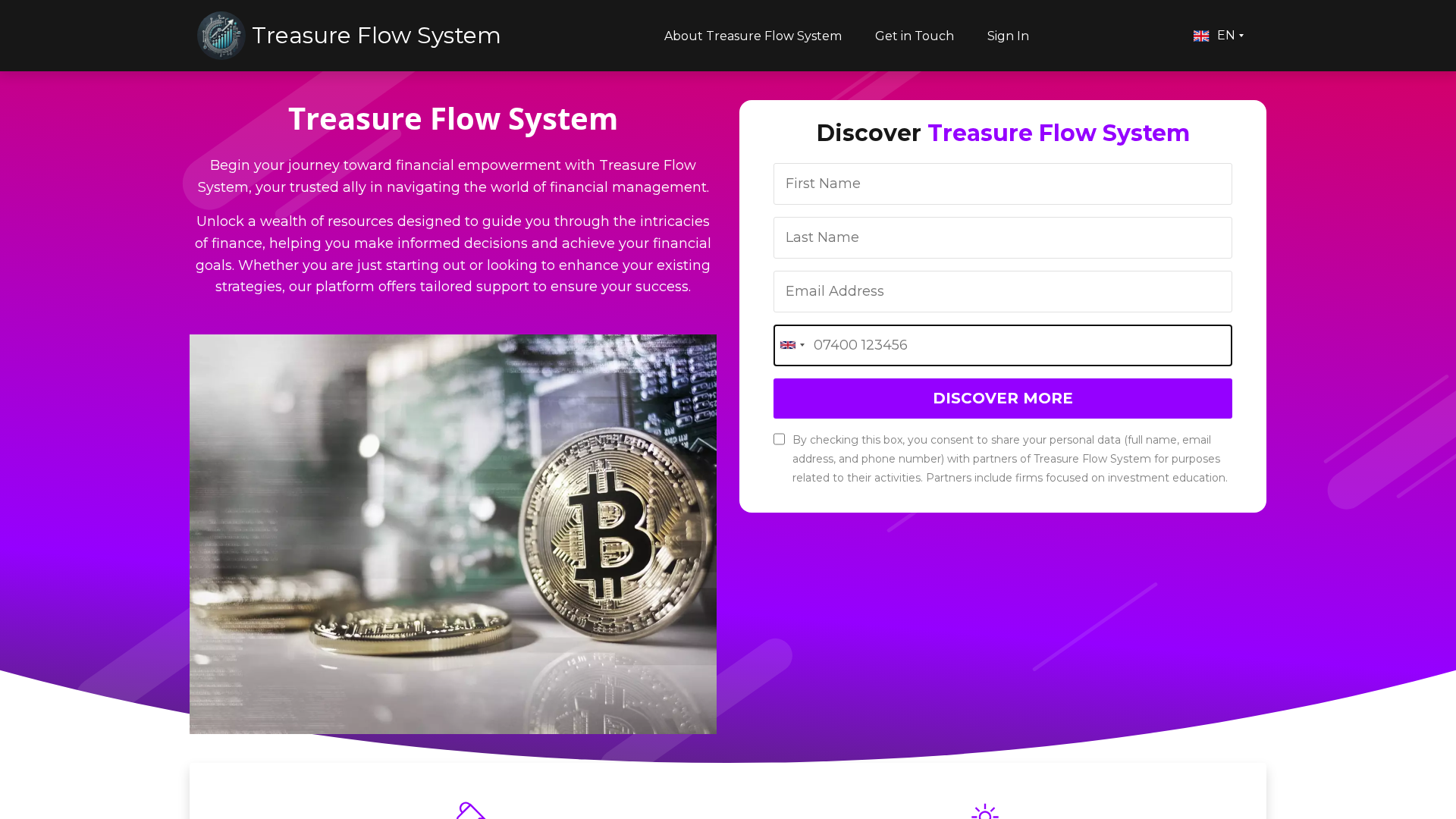 Screenshot of www.treasureflowsystem.net