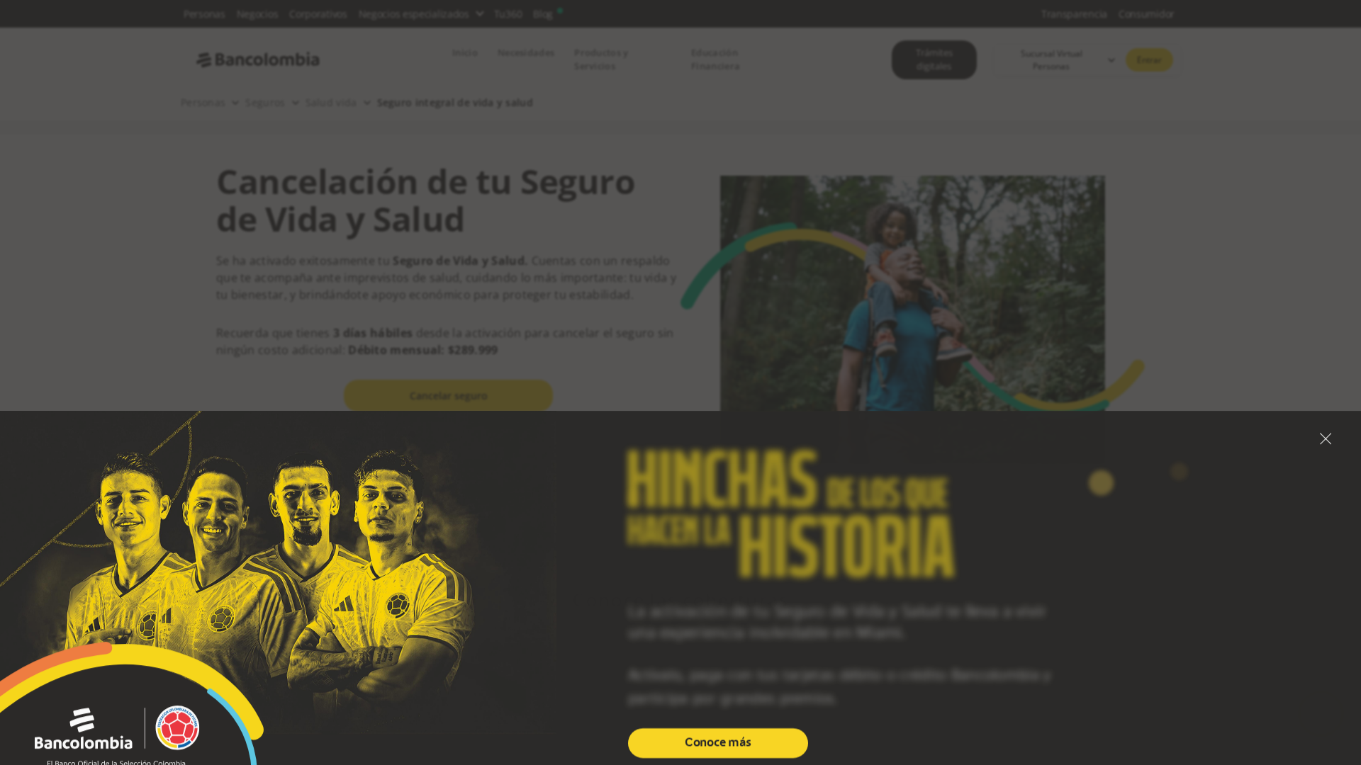 Screenshot of www.prosegsralz.com