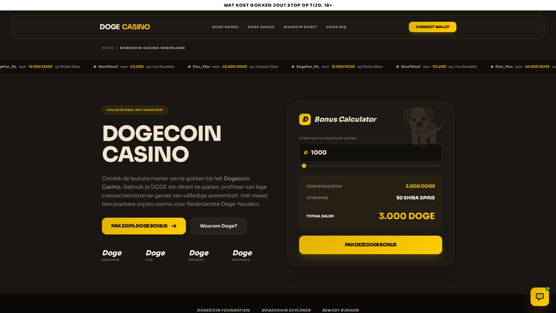 Screenshot of dogecoincasino.nl.traffborris1.org