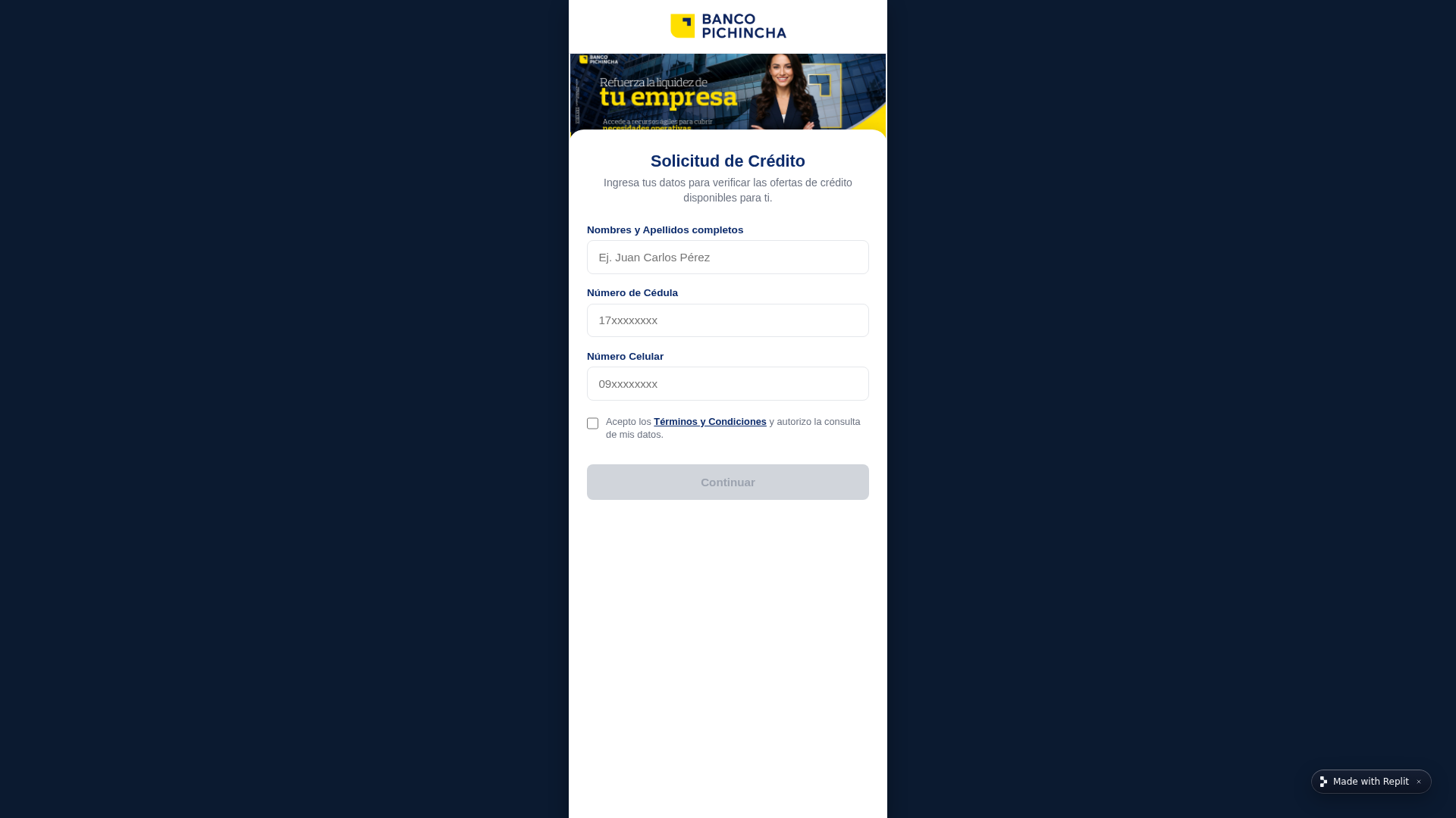 Screenshot of acceso-login-29370--accccess9.replit.app