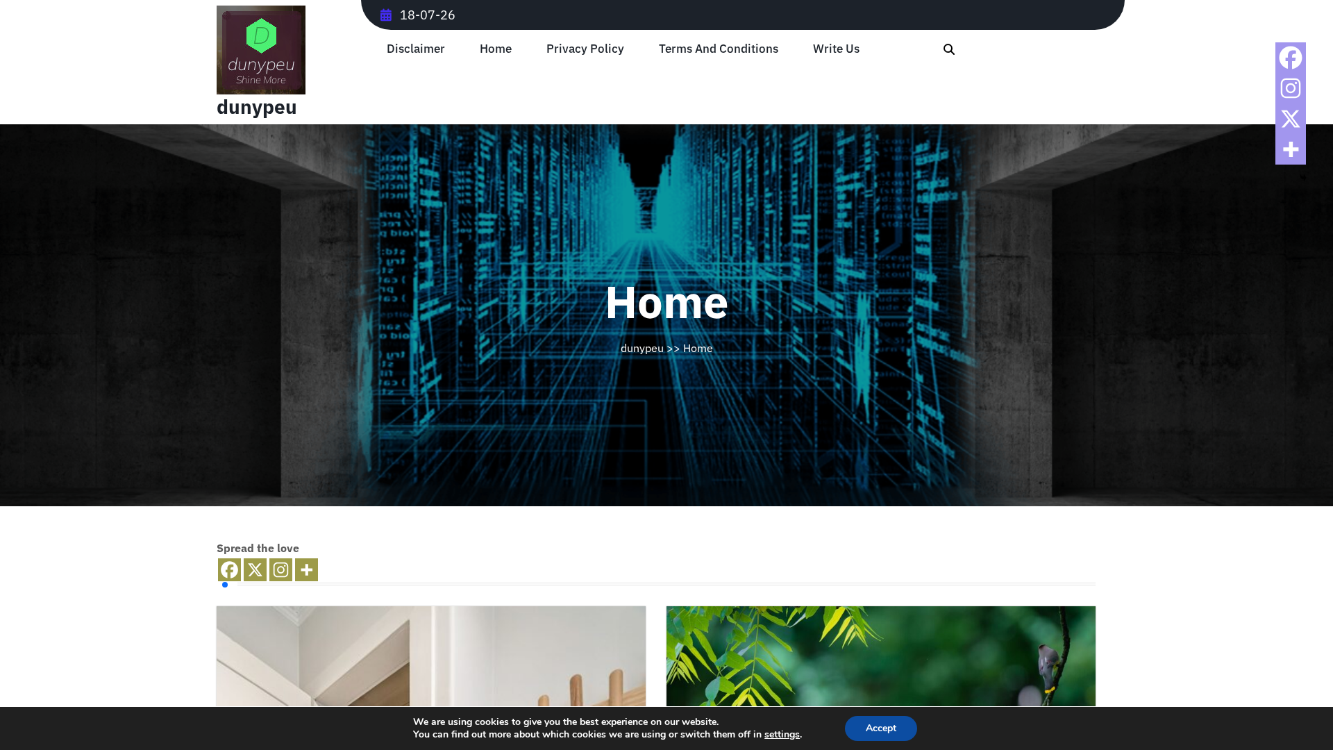 Screenshot of dunypeu.com