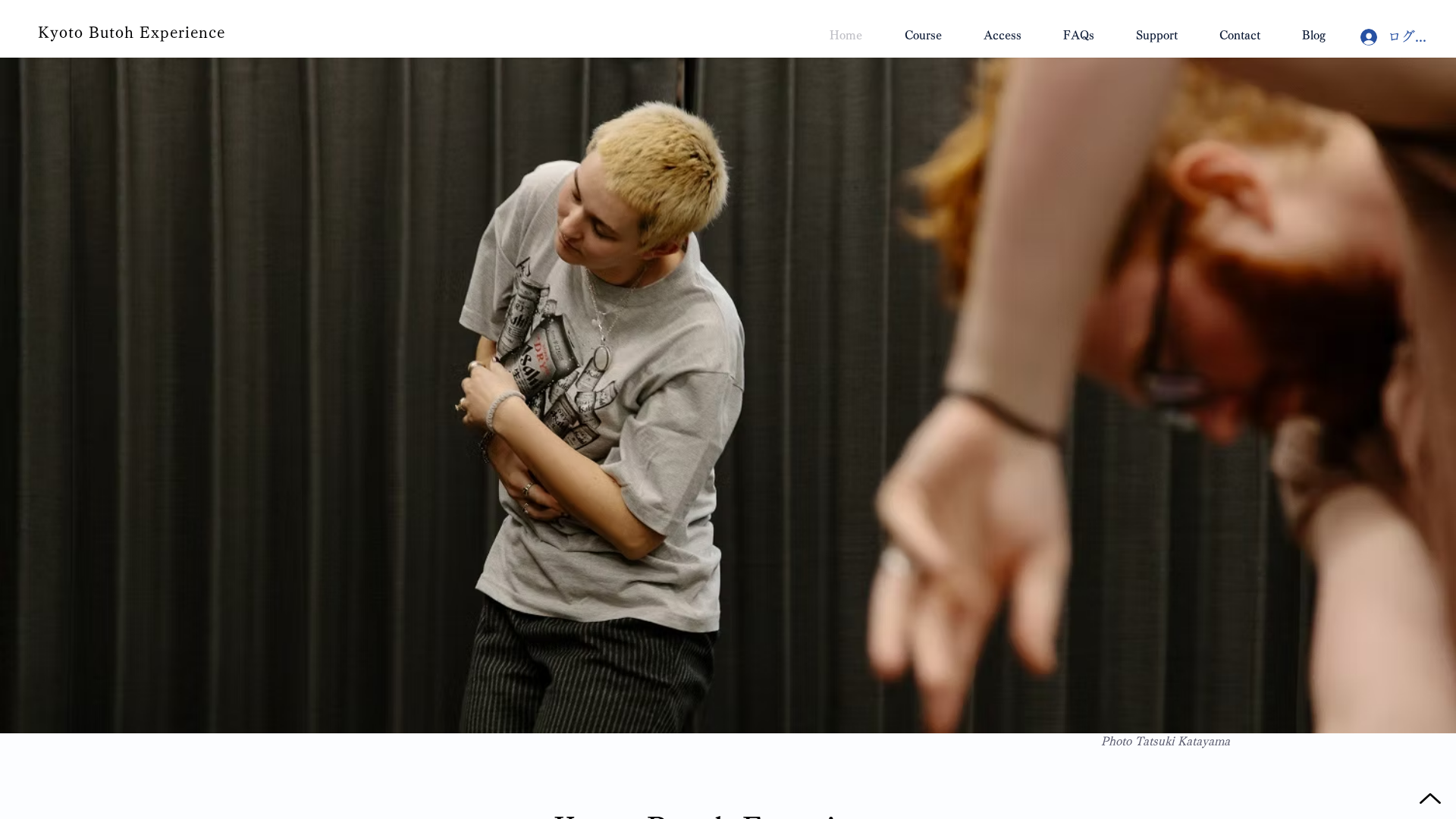 Screenshot of cdn.gosafemode.com