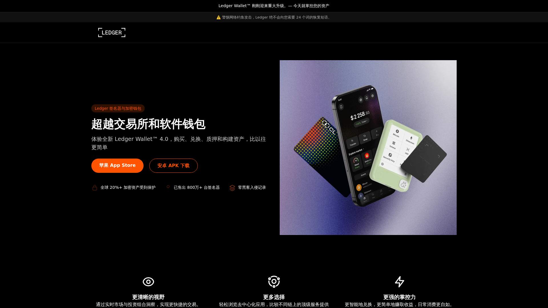 Screenshot of ledgere.com.cn