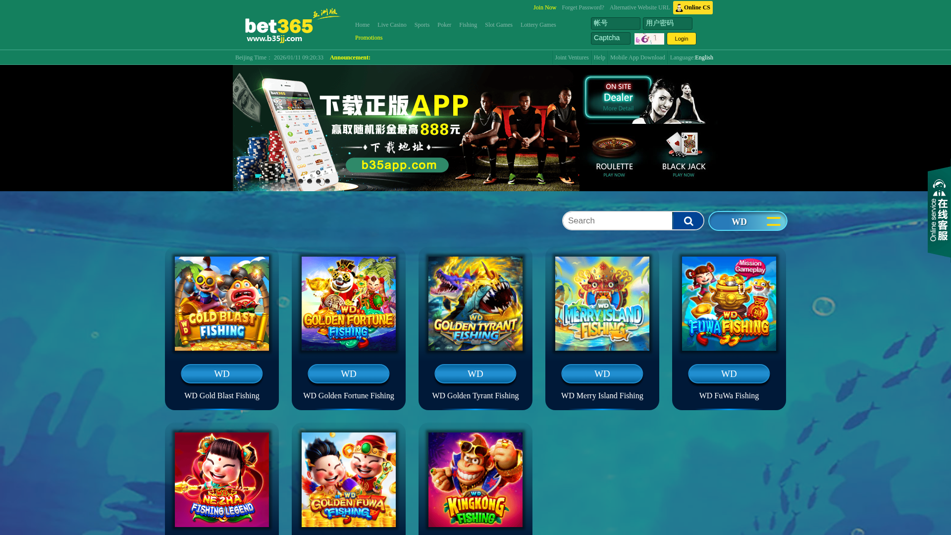 Screenshot of www.b45083.com