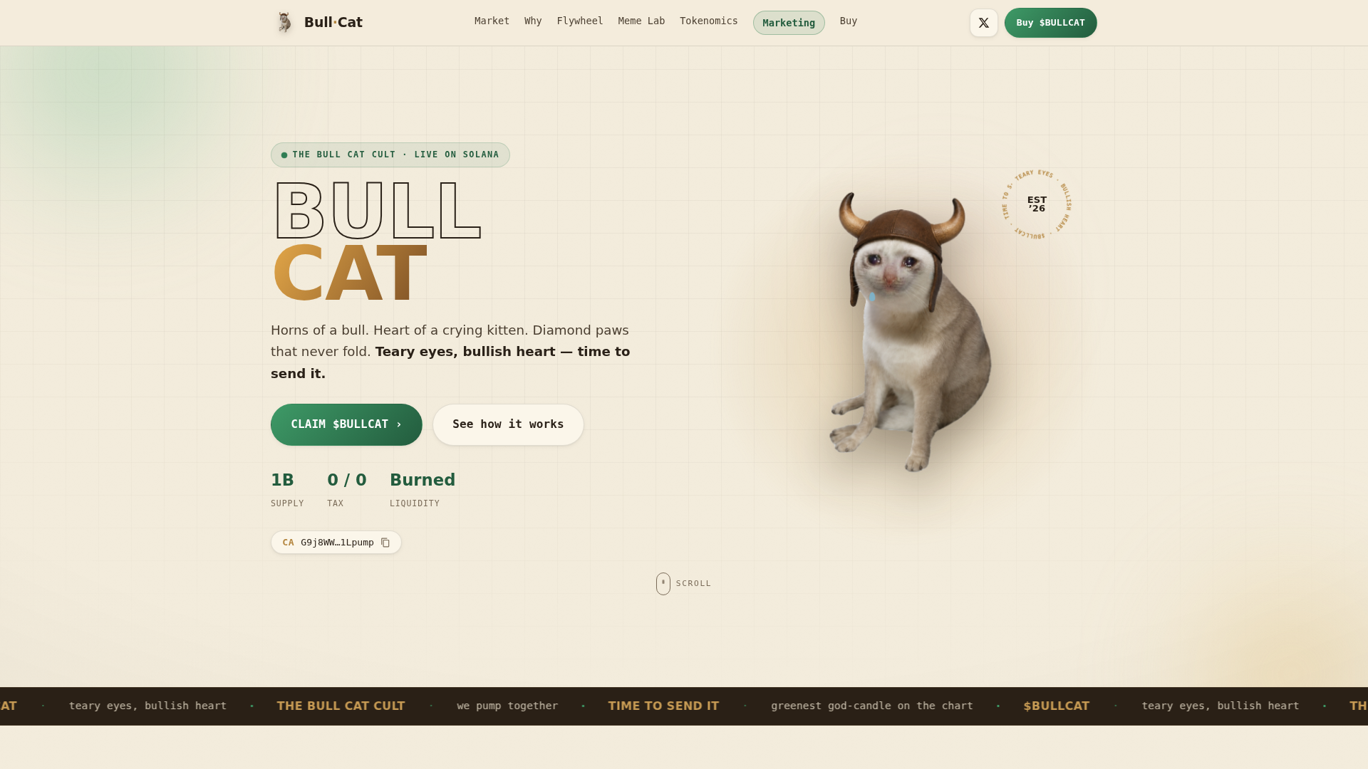 Screenshot of bullcattoken.info