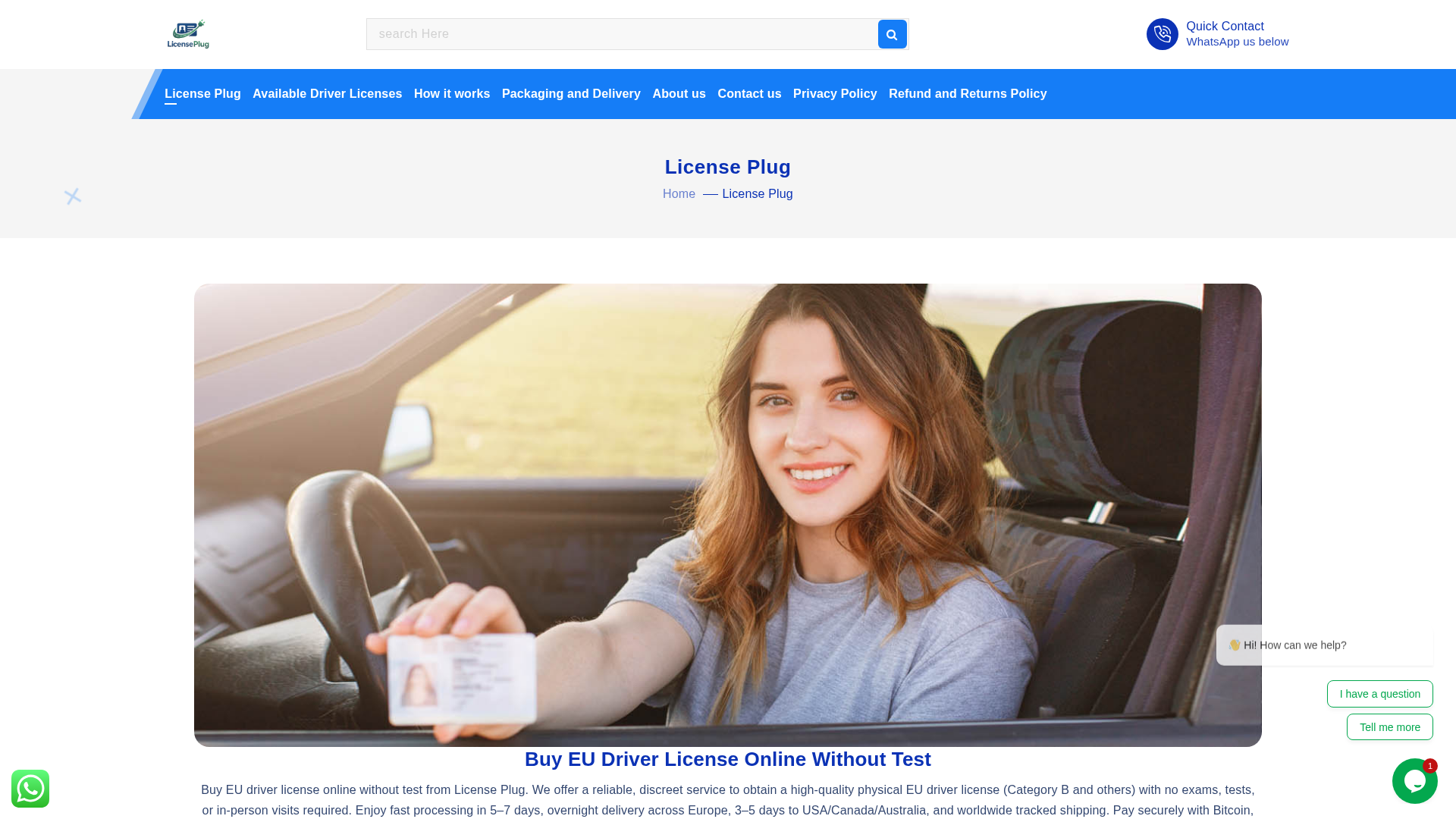 Screenshot of licenseplug.com