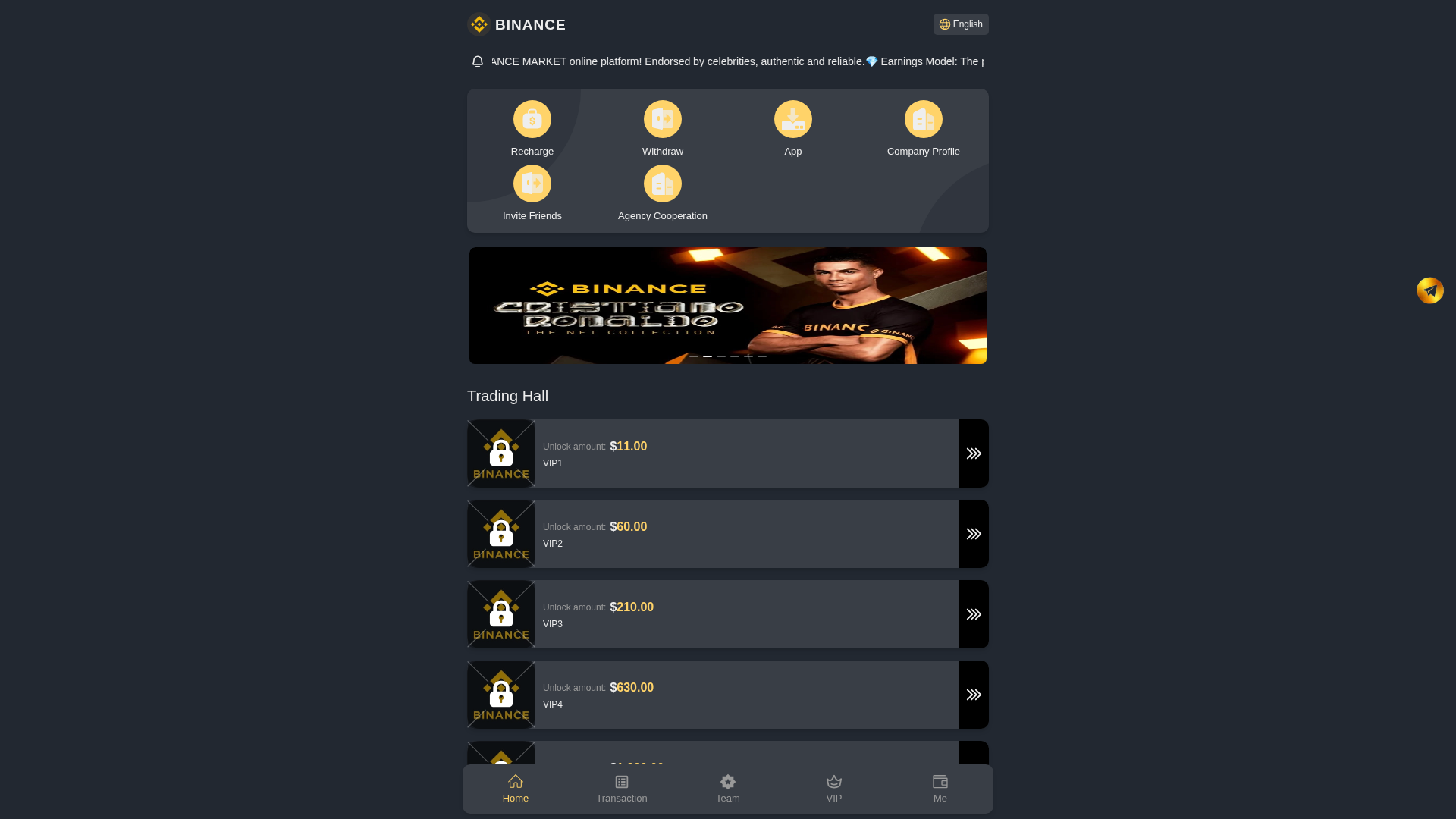 Screenshot of 615.binanceltd.ltd