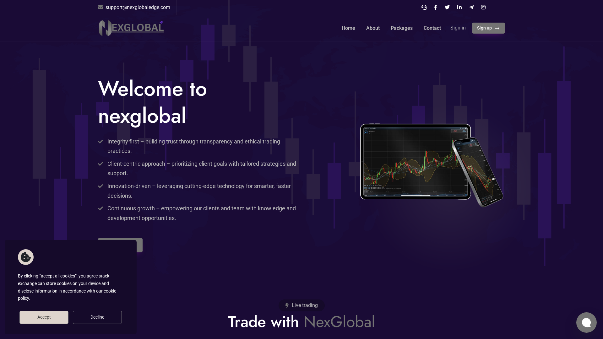 Screenshot of nexglobaledge.com
