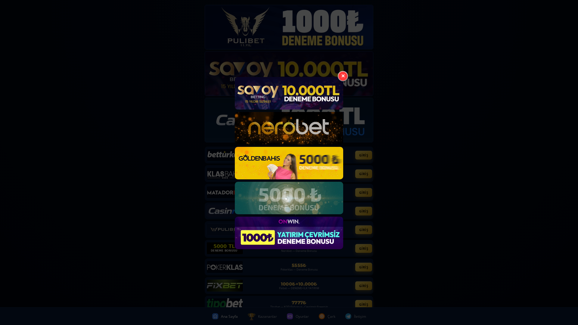 Screenshot of www.teniskortu34.shop