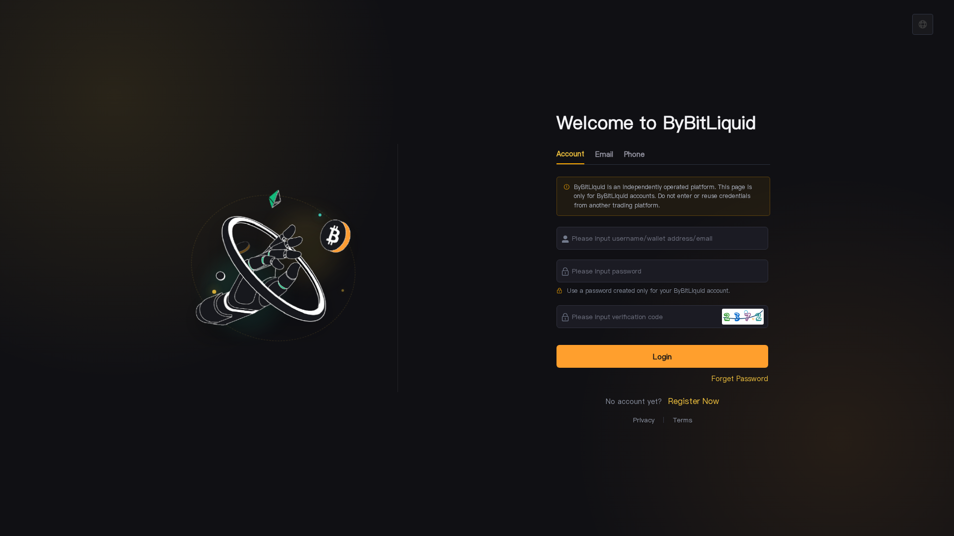 Screenshot of bybitliquid.com