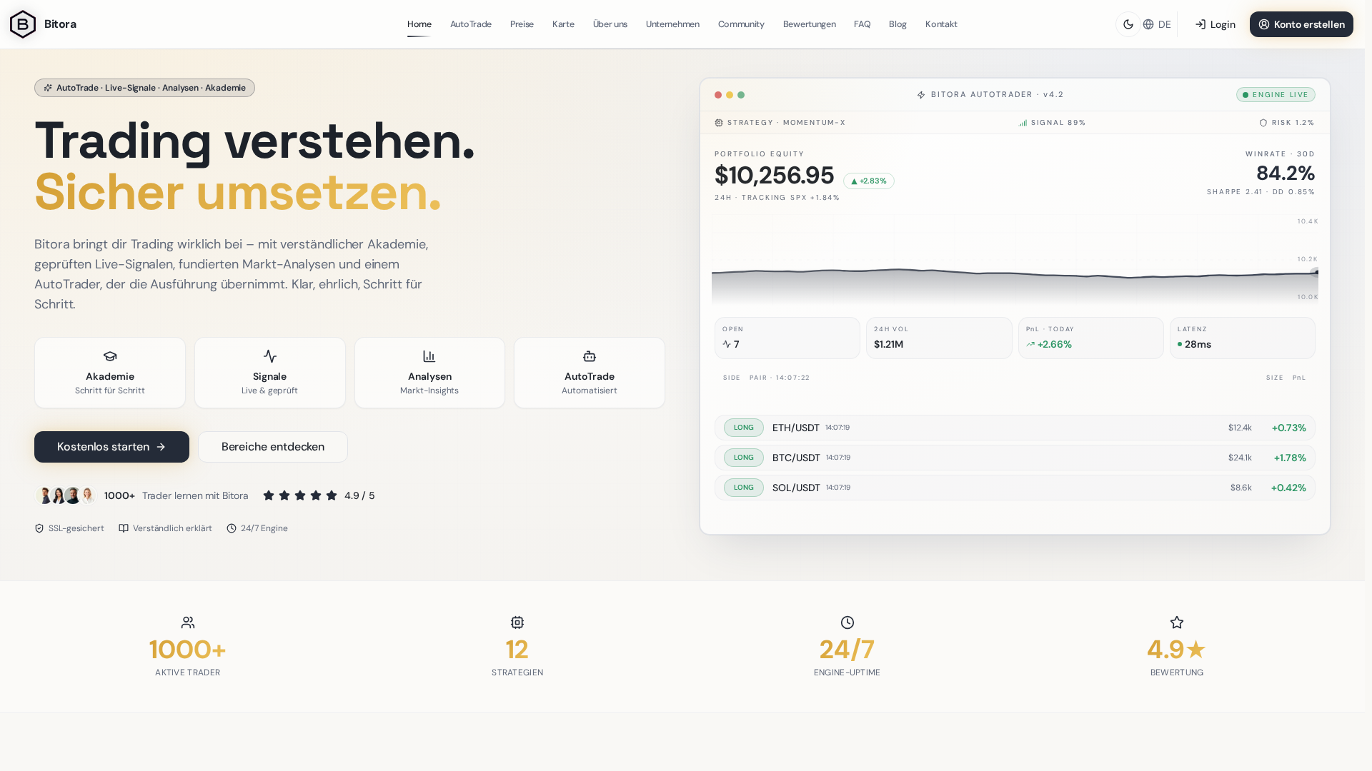 Screenshot of bitora.vip