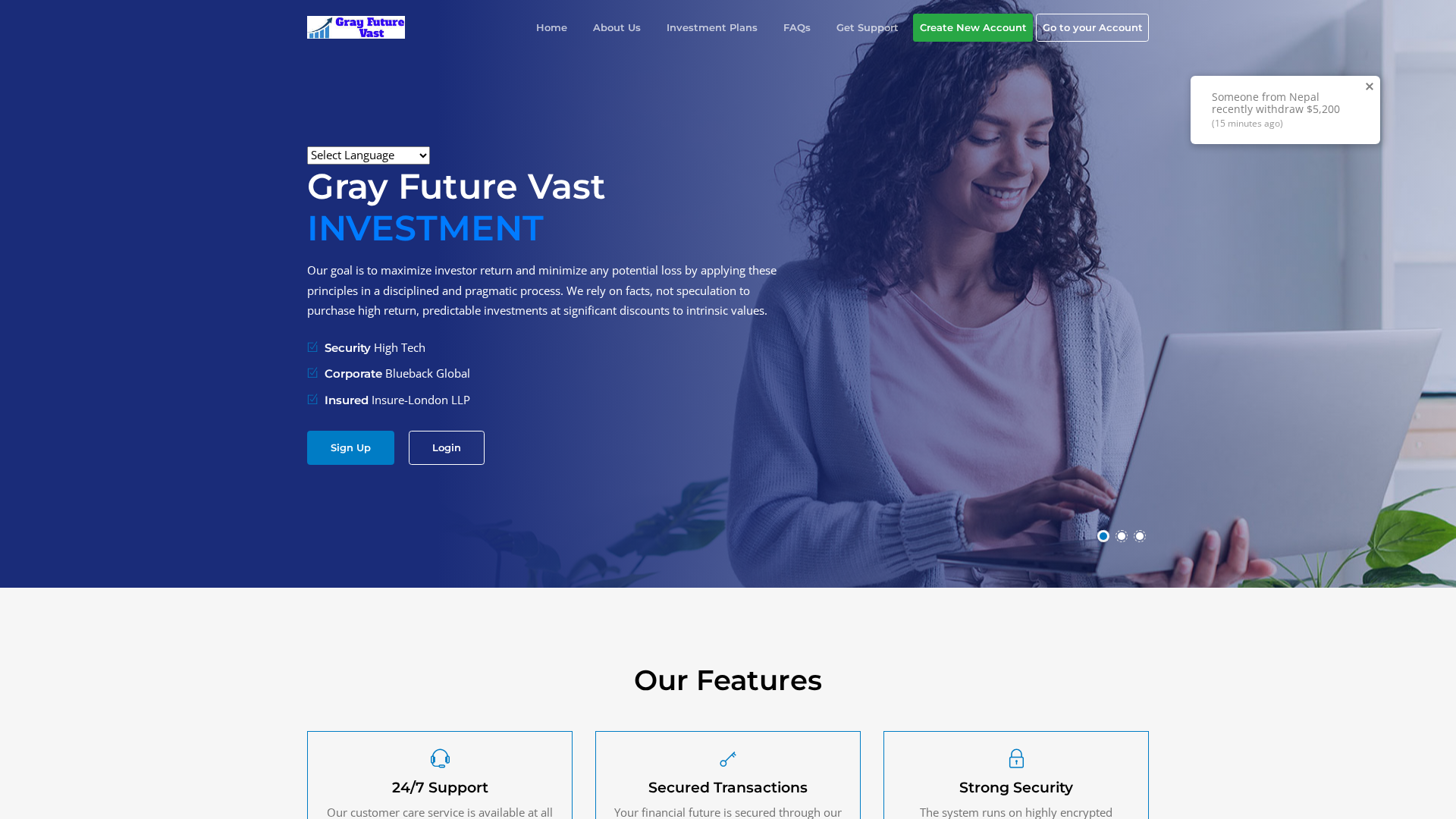 Screenshot of gray-futurevast.com