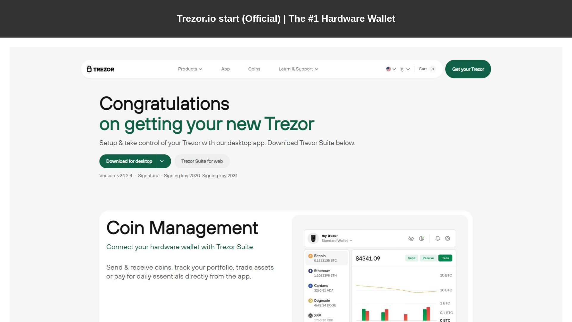 Screenshot of www.treziostart.blogspot.com