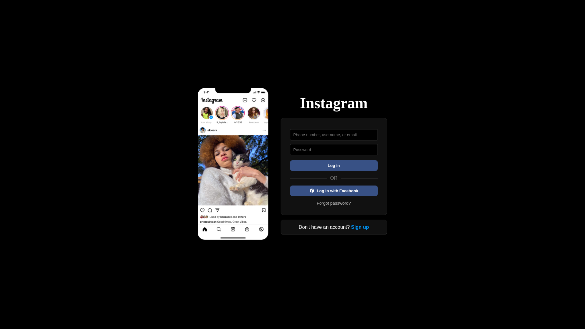 Screenshot of www.instagram-login-page-two.vercel.app
