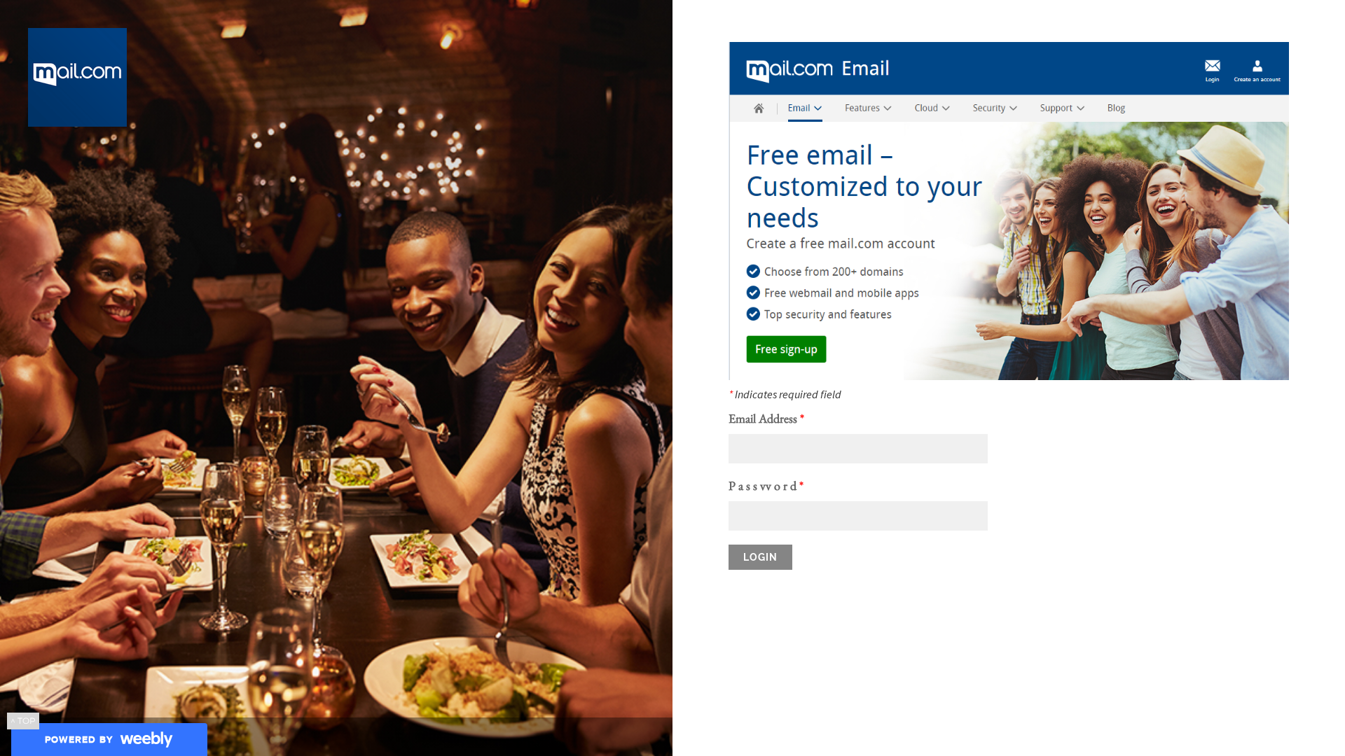 Screenshot of mailnew-organizerpro.weebly.com