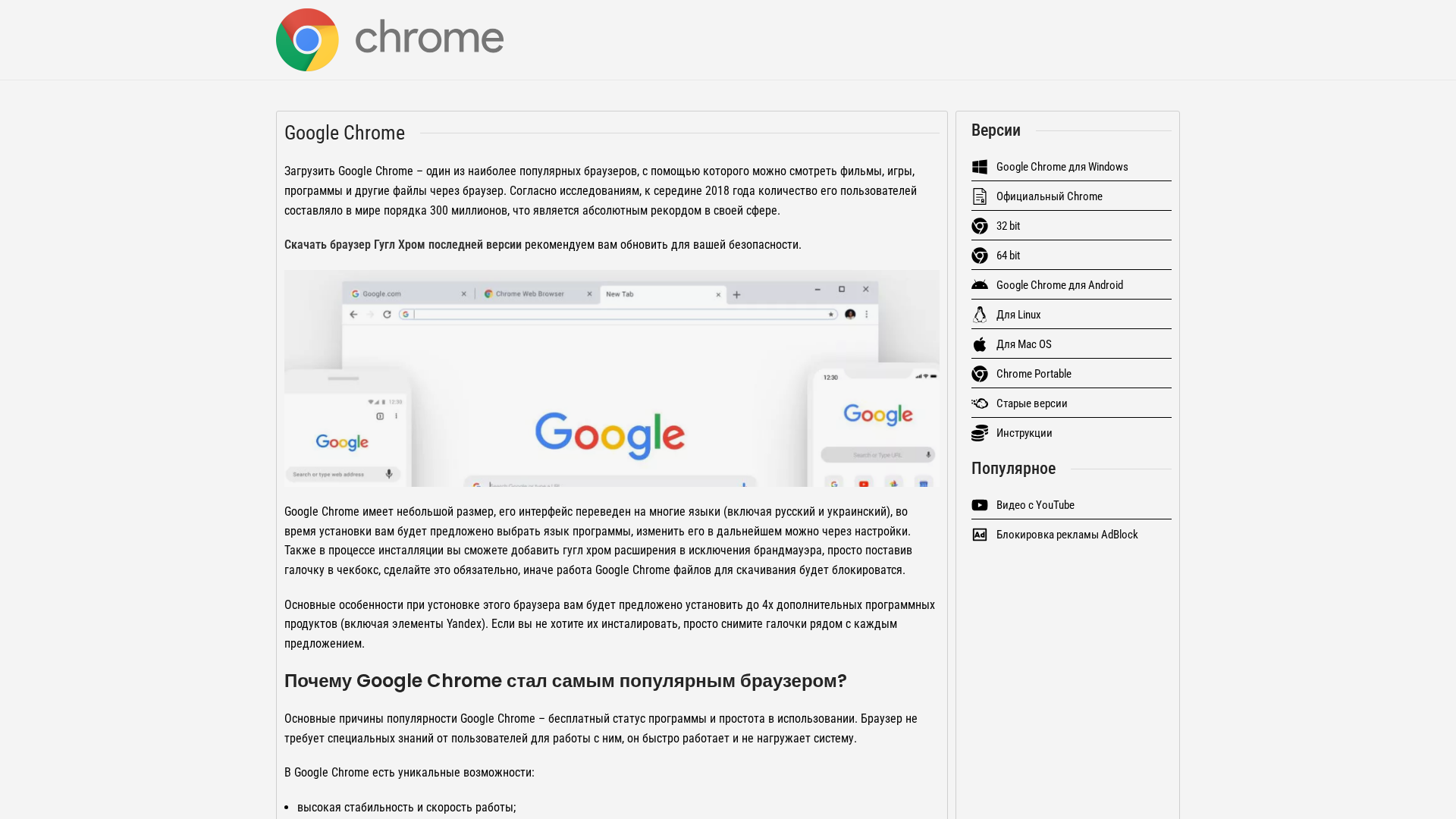 Screenshot of skachat-google-chrome.ru