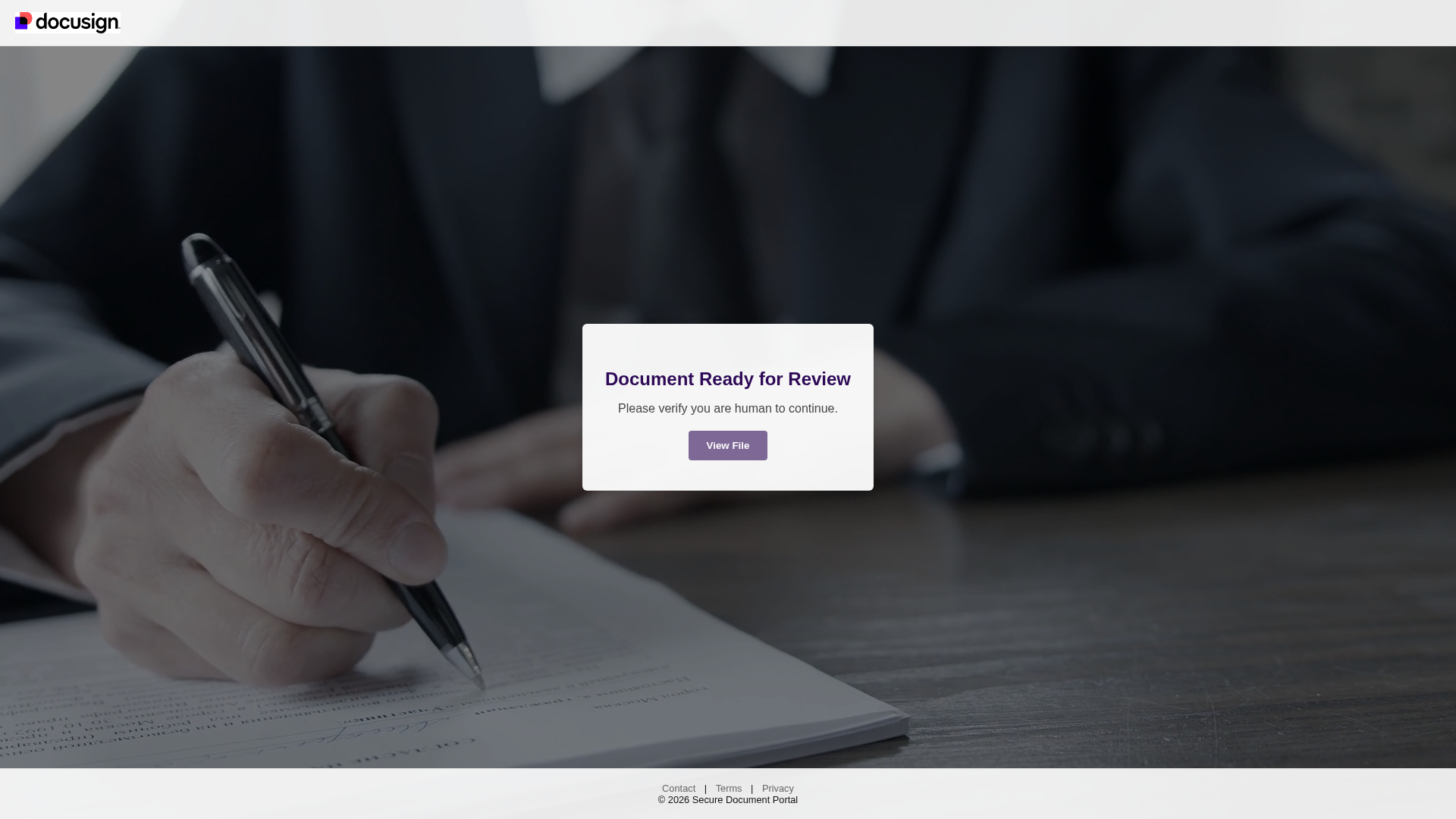 Screenshot of docusign-file.fyi