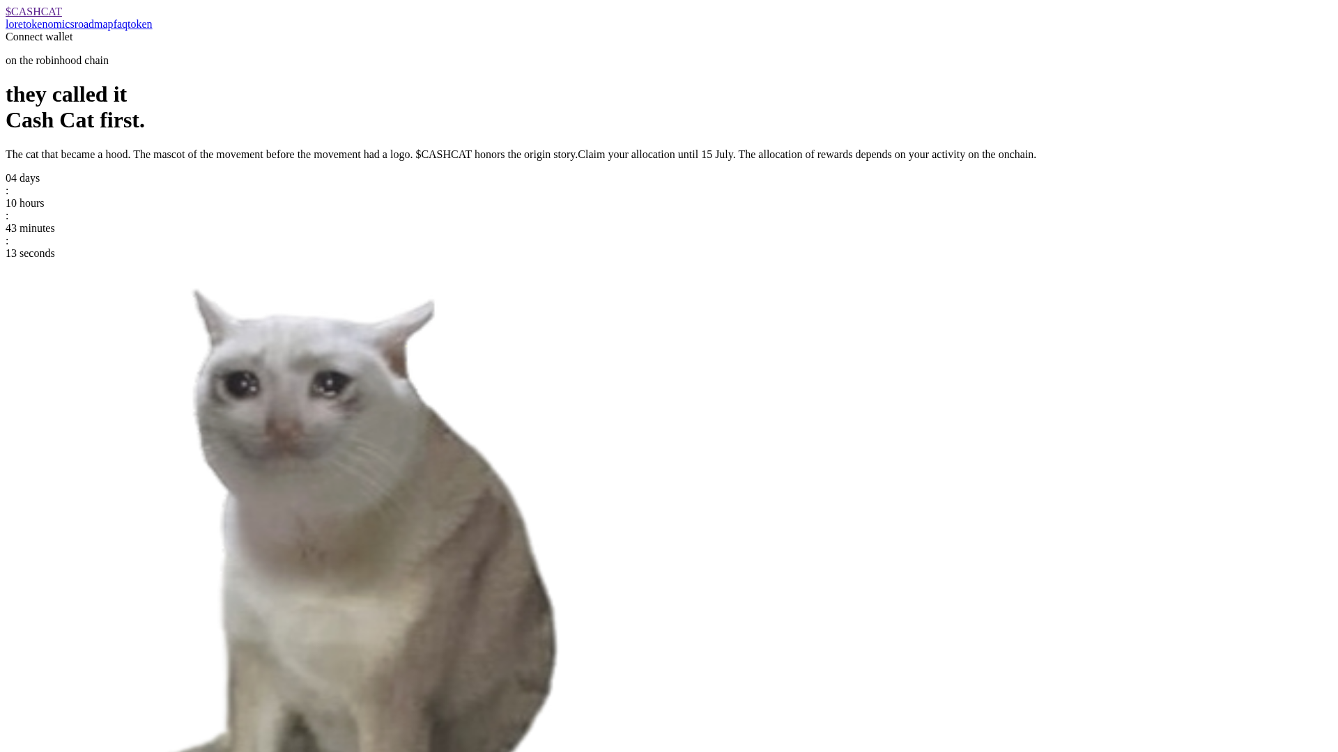 Screenshot of allocationcashcat.com