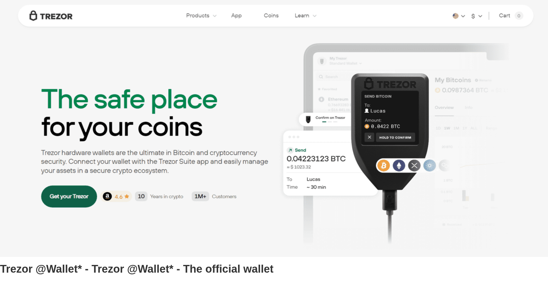Screenshot of terezoorwallet.webflow.io