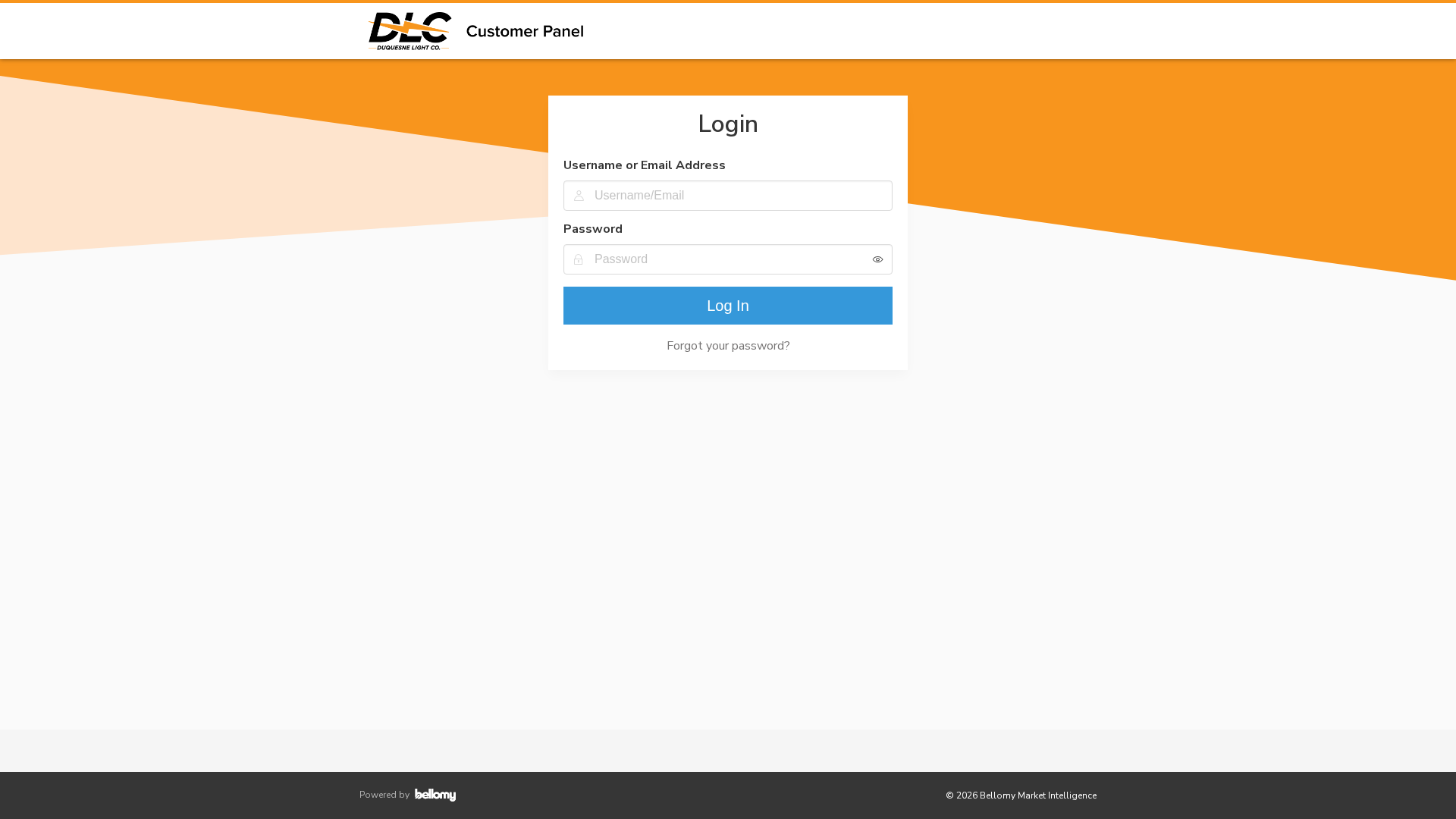 Screenshot of duquesnelightpanel.com