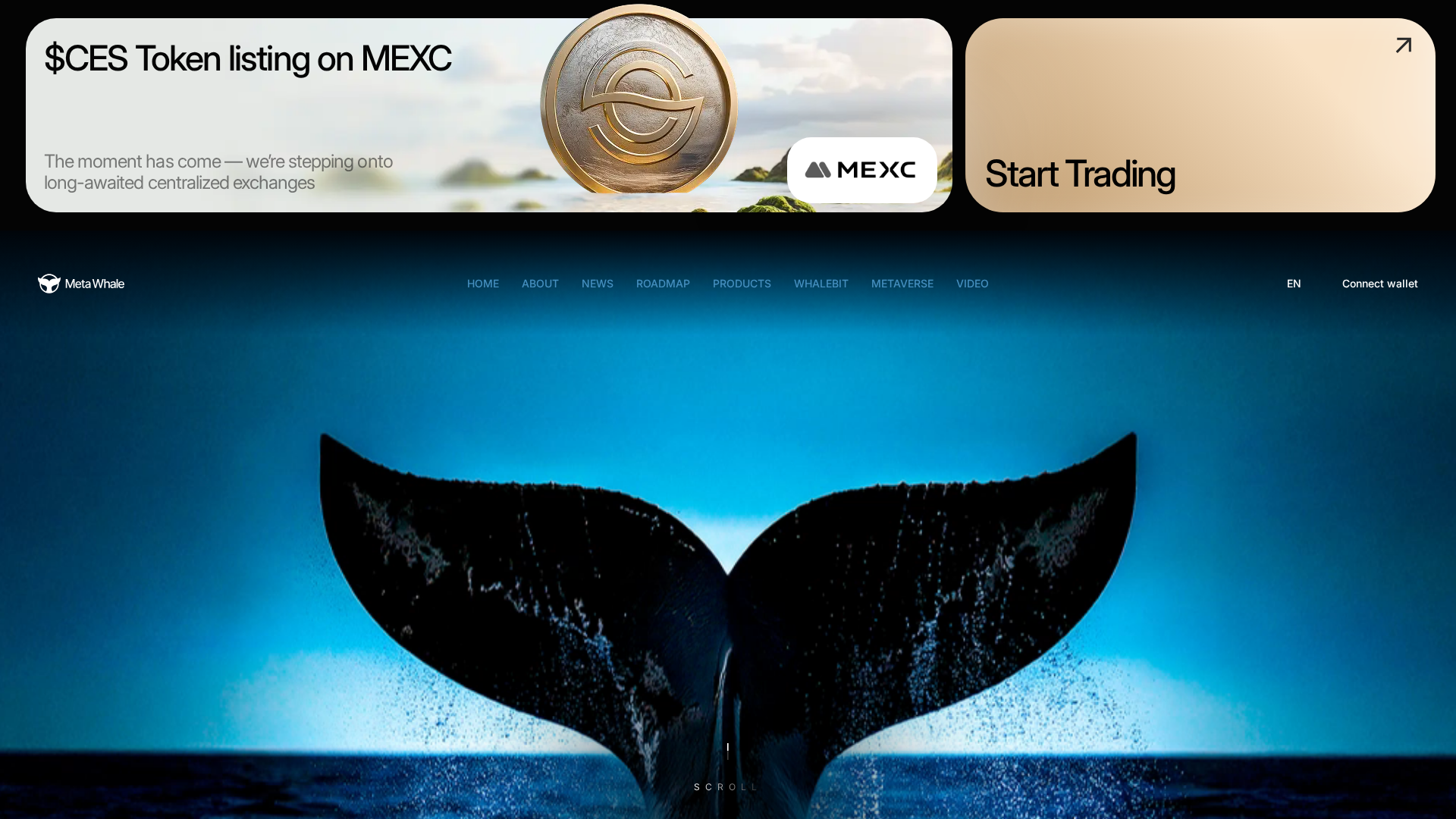 Screenshot of ces-metawhales.info