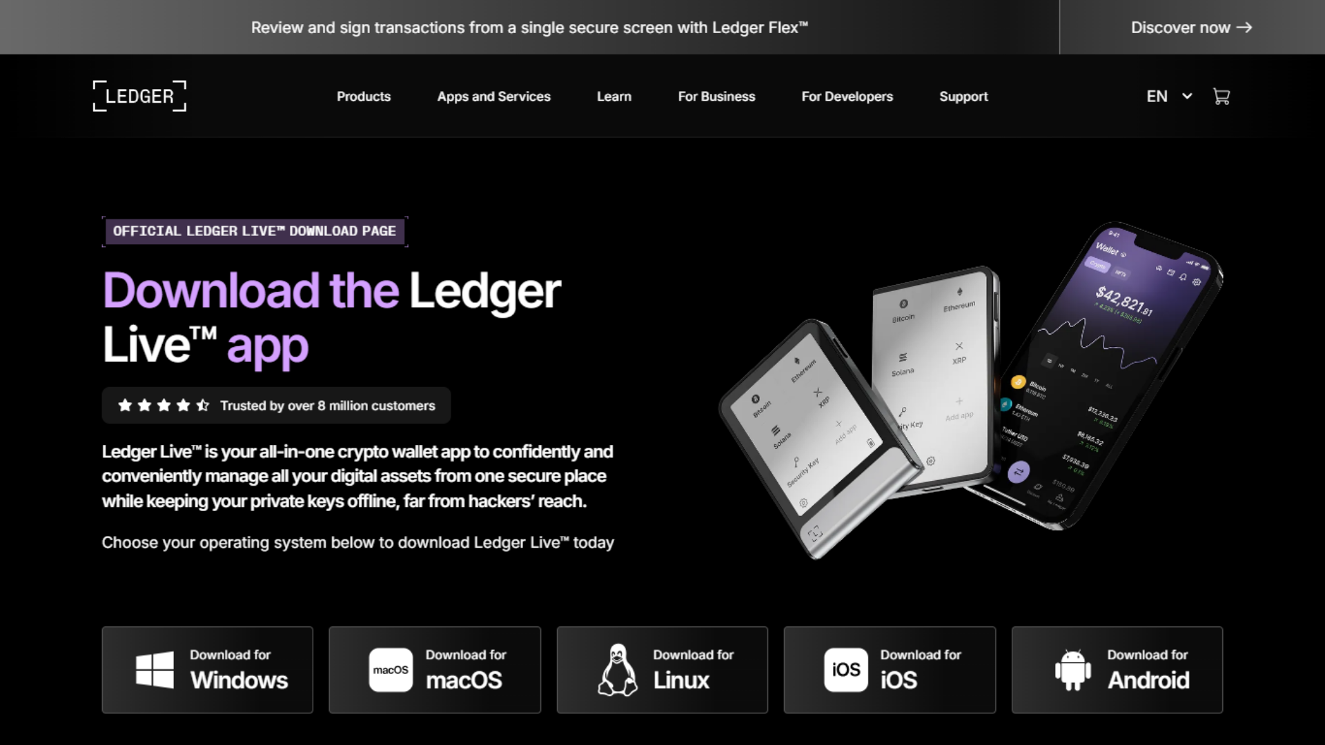 Screenshot of com-strt-ledgr-info.pages.dev