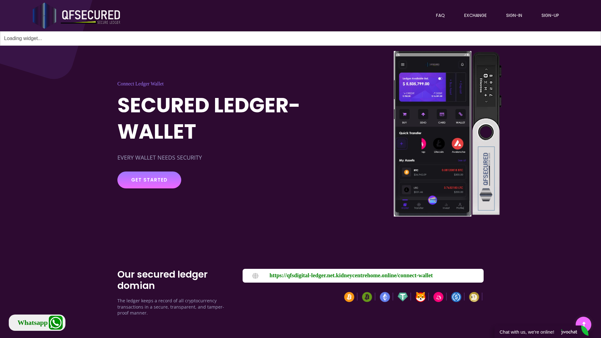 Screenshot of qfsdigital-ledger.net.kidneycentrehome.online