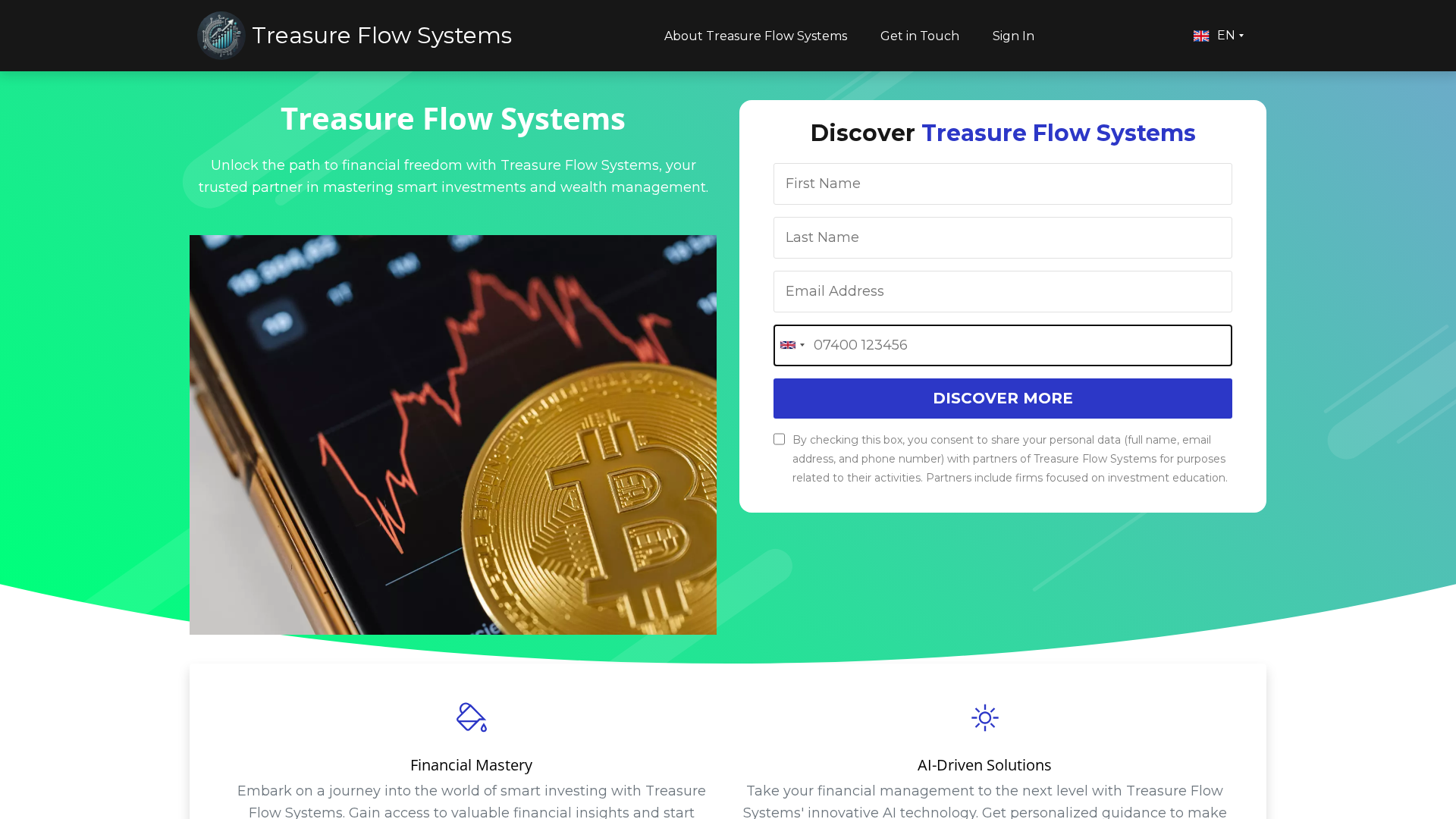 Screenshot of treasureflowsystem.com