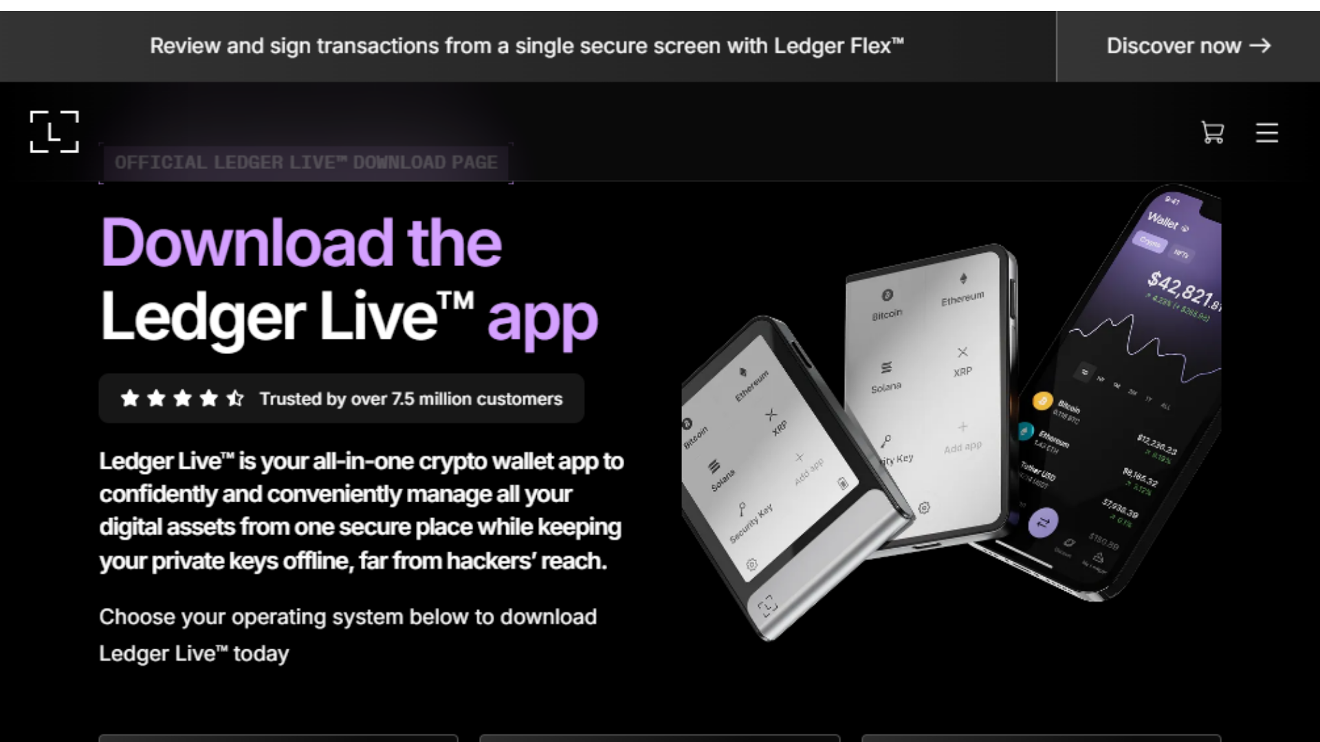 Screenshot of connect-ledger-loggon-eng.pages.dev
