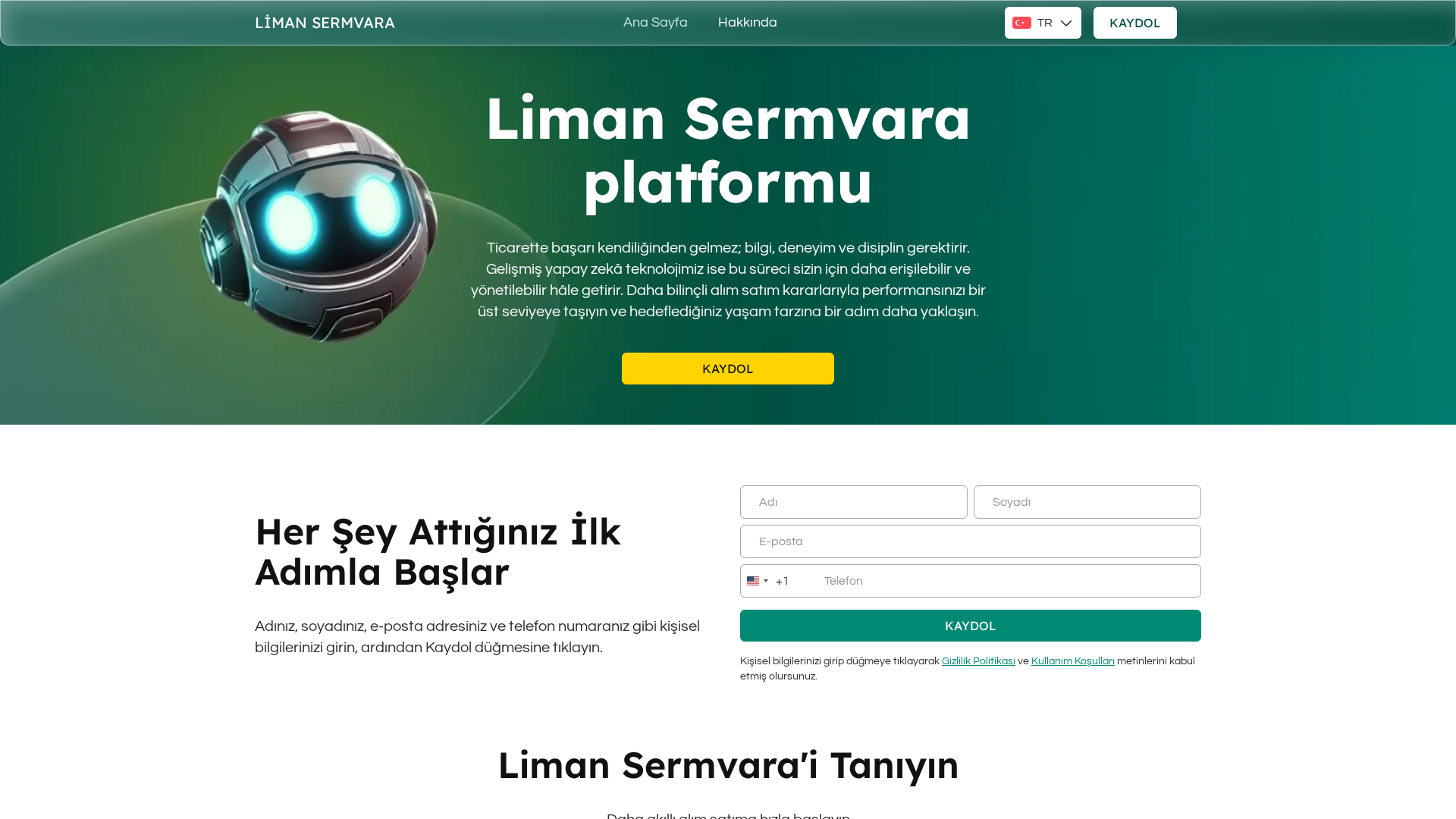 Screenshot of limansermvara-tr.com