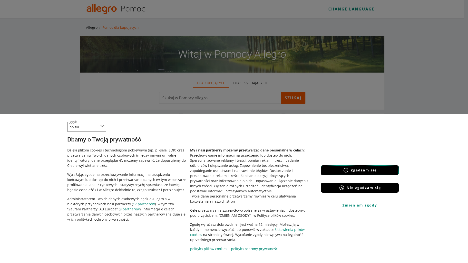 Screenshot of allegro.payservice.com.pl